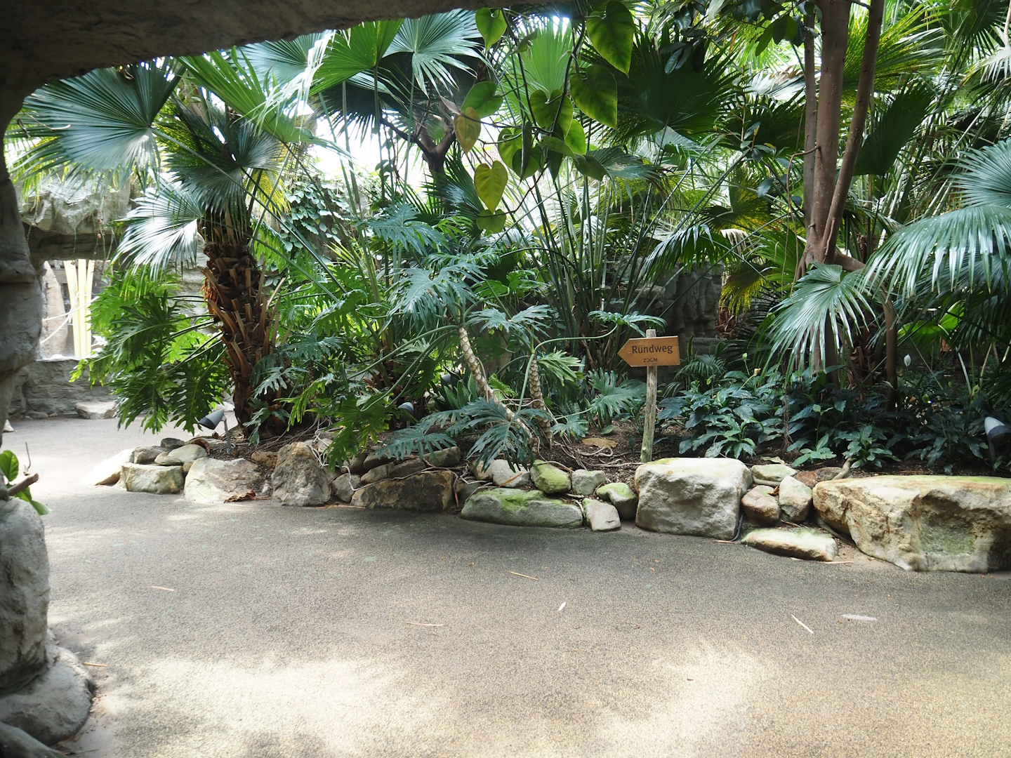 View in Tropenparadies/Asian greenhouse, 2024-08-05