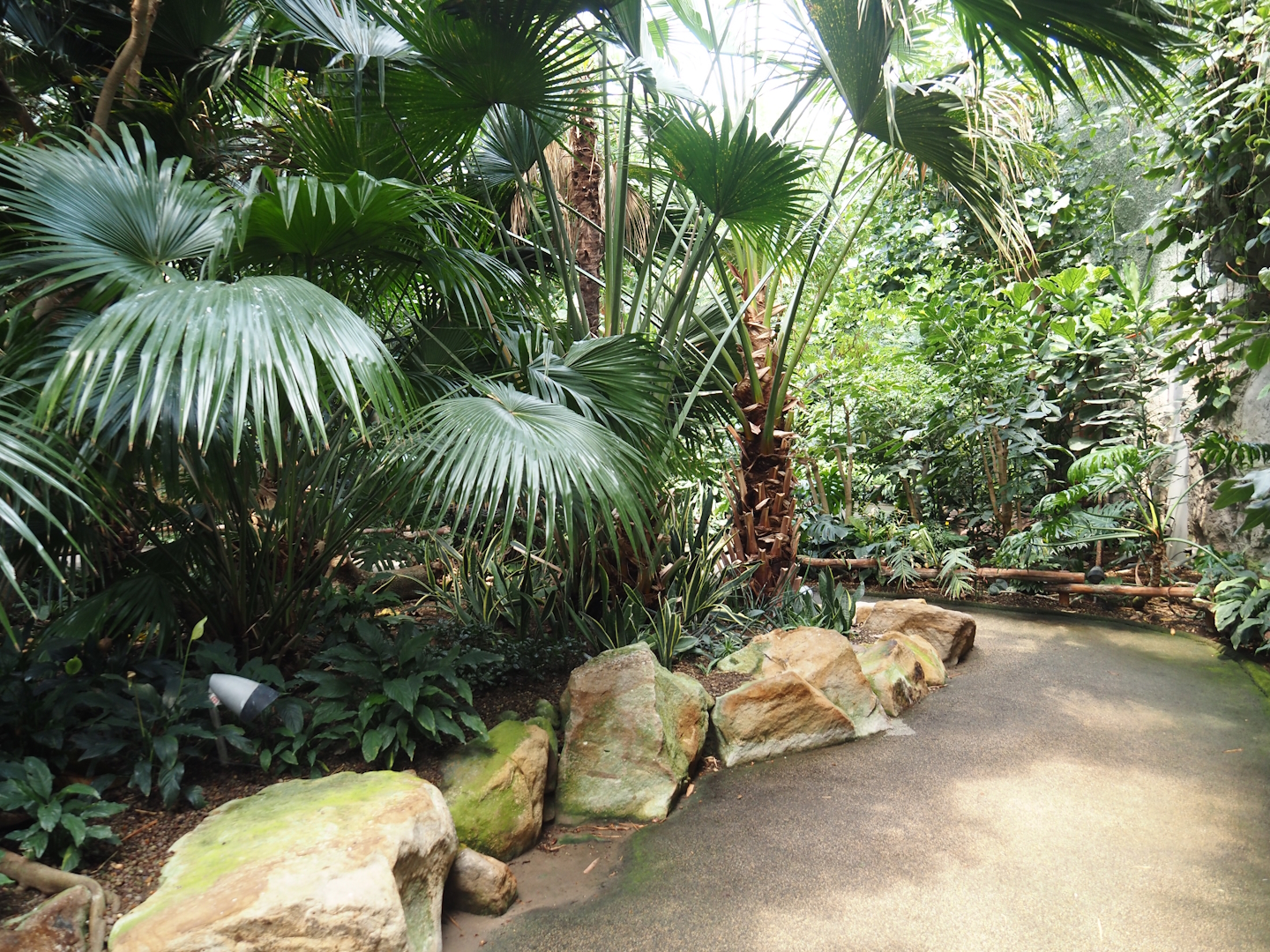 View in Tropenparadies/Asian greenhouse, 2024-08-05