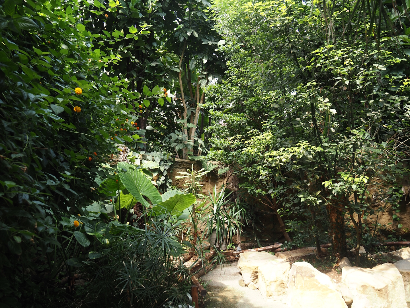 View in Tropenparadies/Asian greenhouse, 2024-08-05