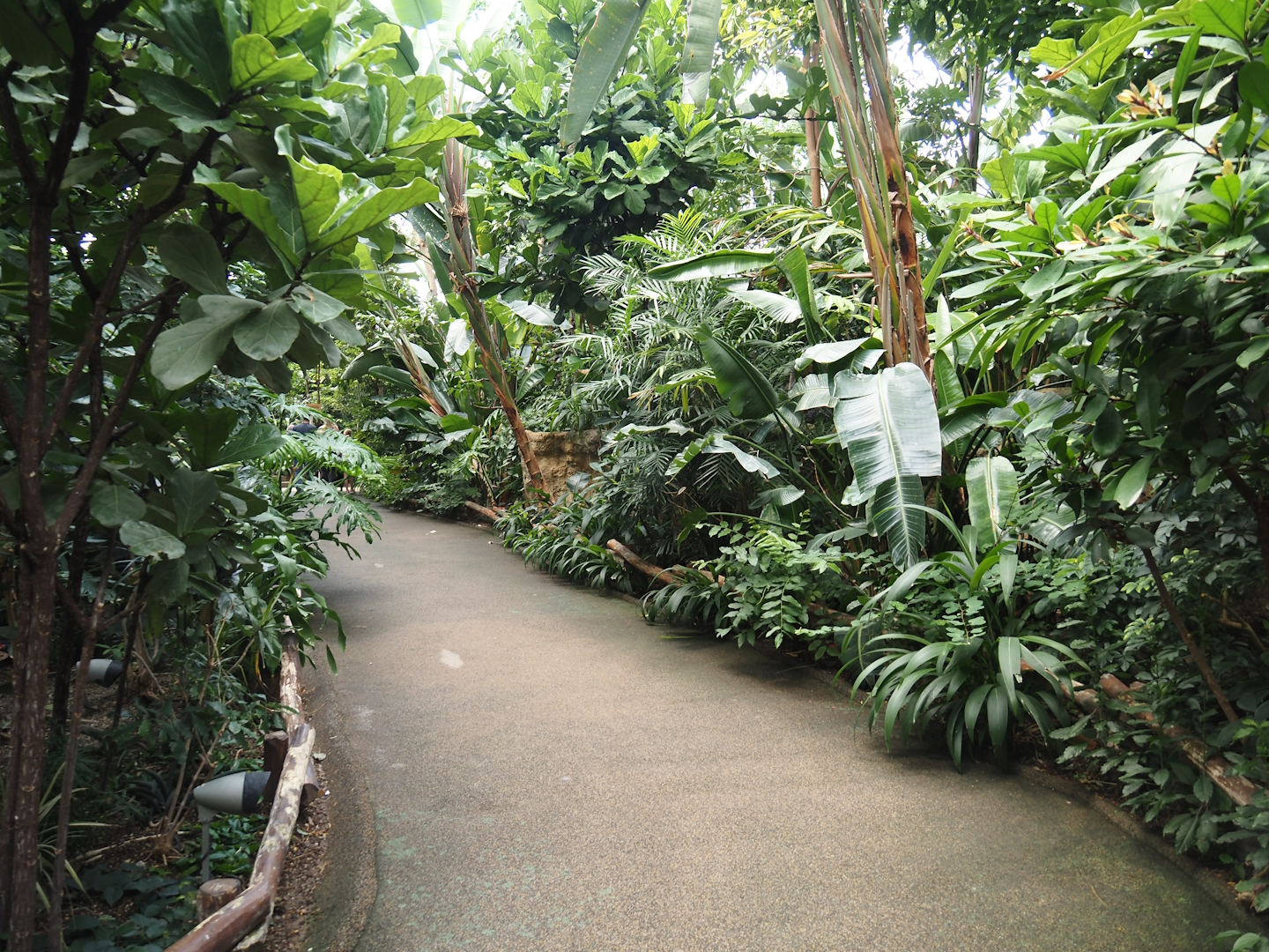 View in Tropenparadies/Asian greenhouse 2024-08-05