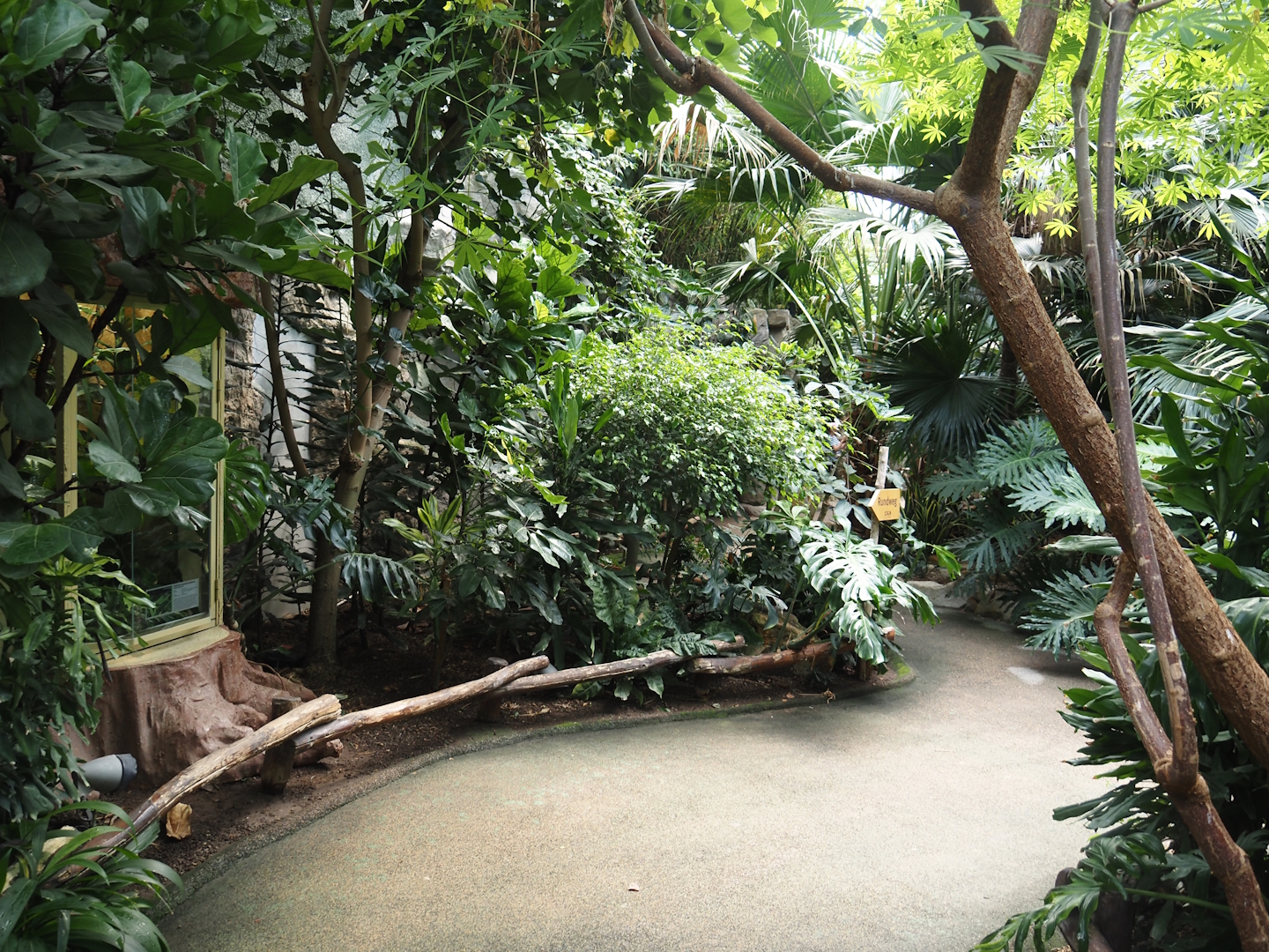 View in Tropenparadies/Asian greenhouse, 2024-08-05