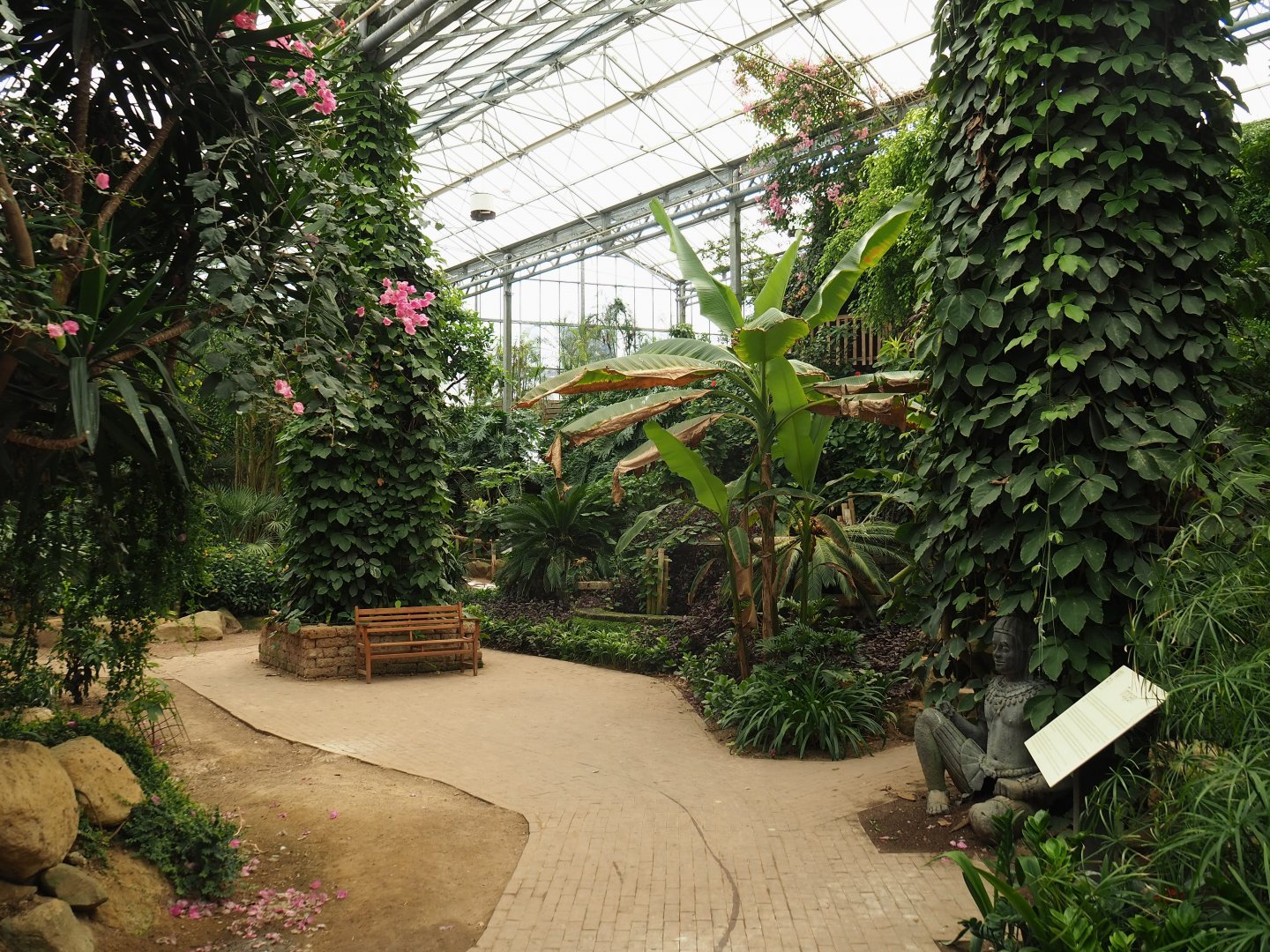View in Tropical hall (Aug 28th, 2018)