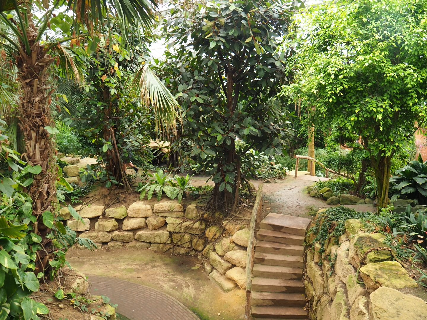 View in Tropical hall (Aug 28th, 2018)