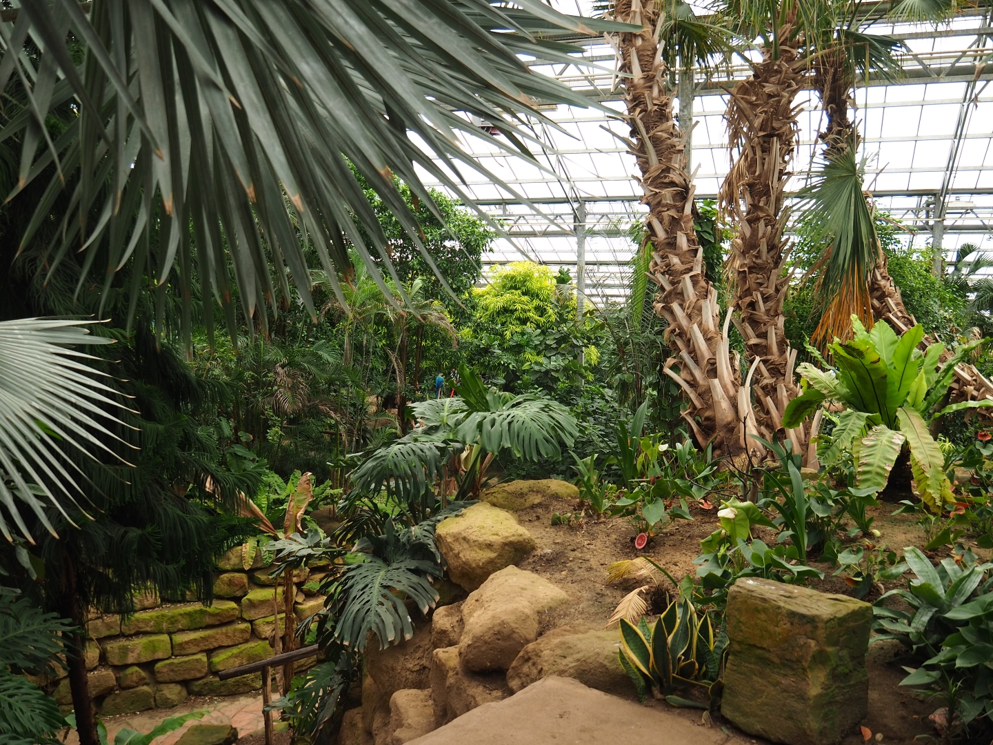 View in Tropical hall (Aug 28th, 2018)