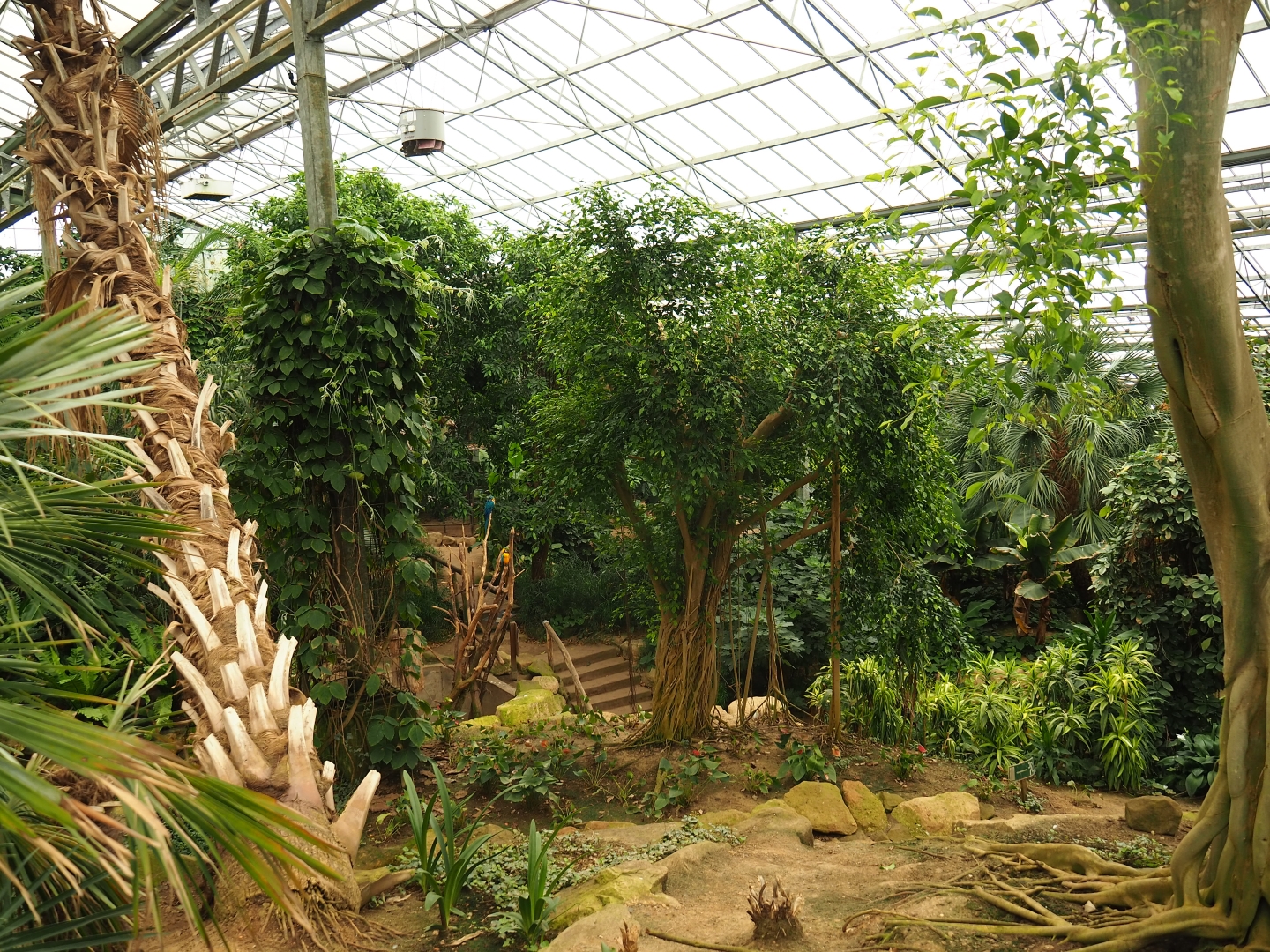 View in Tropical hall (Aug 28th, 2018)