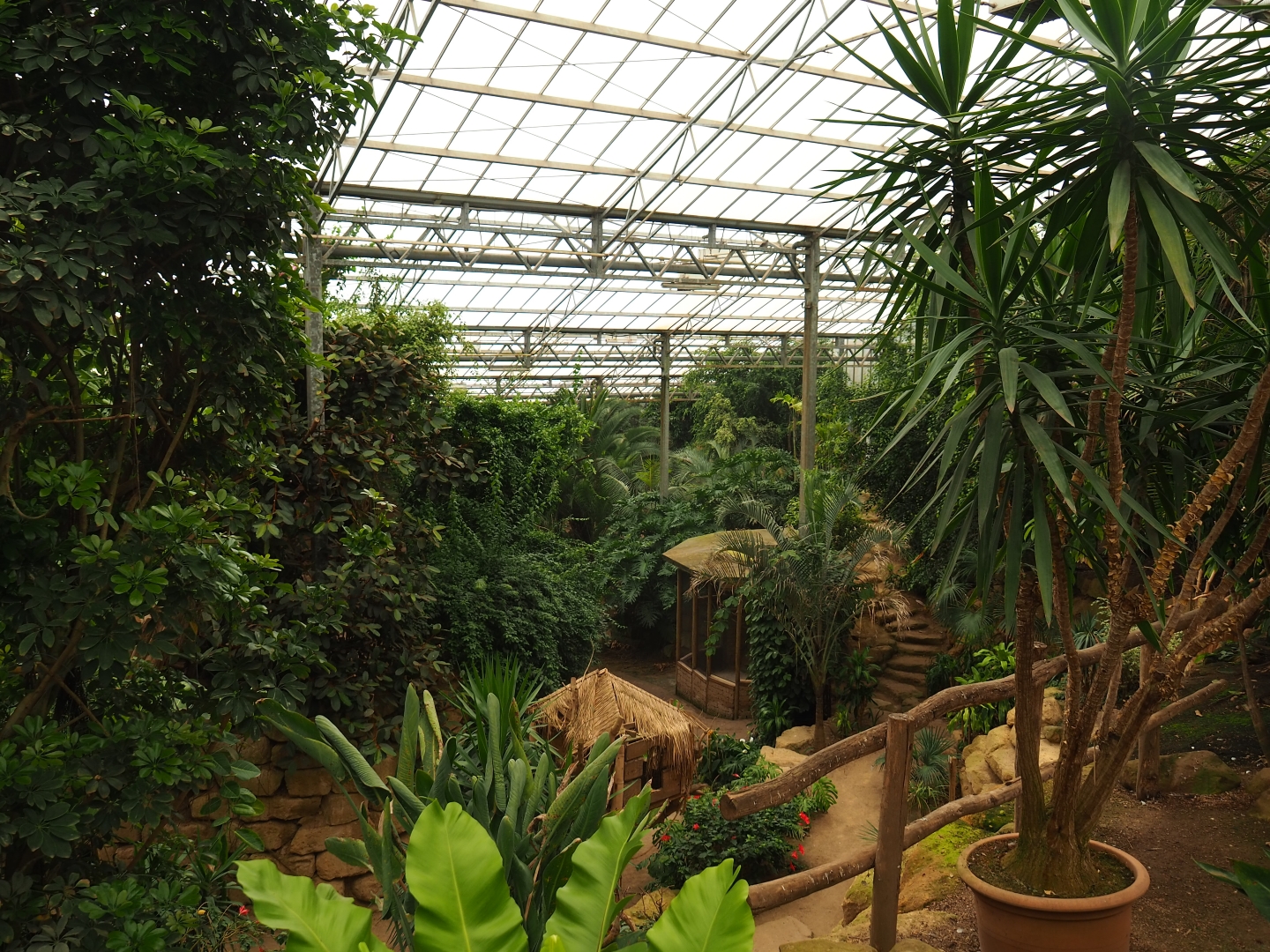 View in Tropical hall (Aug 28th, 2018)
