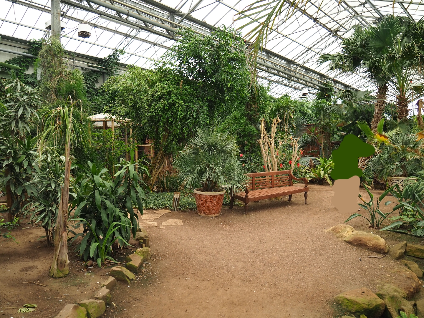 View in Tropical hall (Aug 28th, 2018)