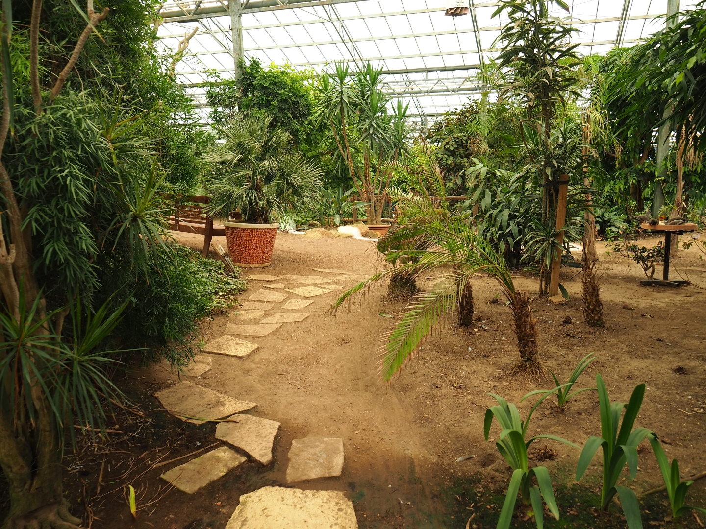 View in Tropical hall (Aug 28th, 2018)