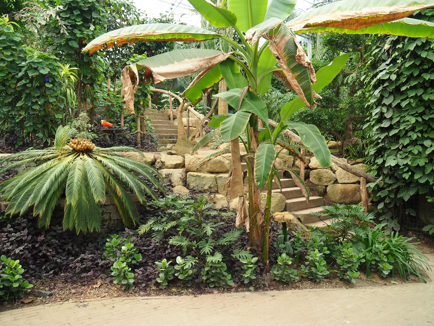 View in Tropical hall (Aug 28th, 2018)