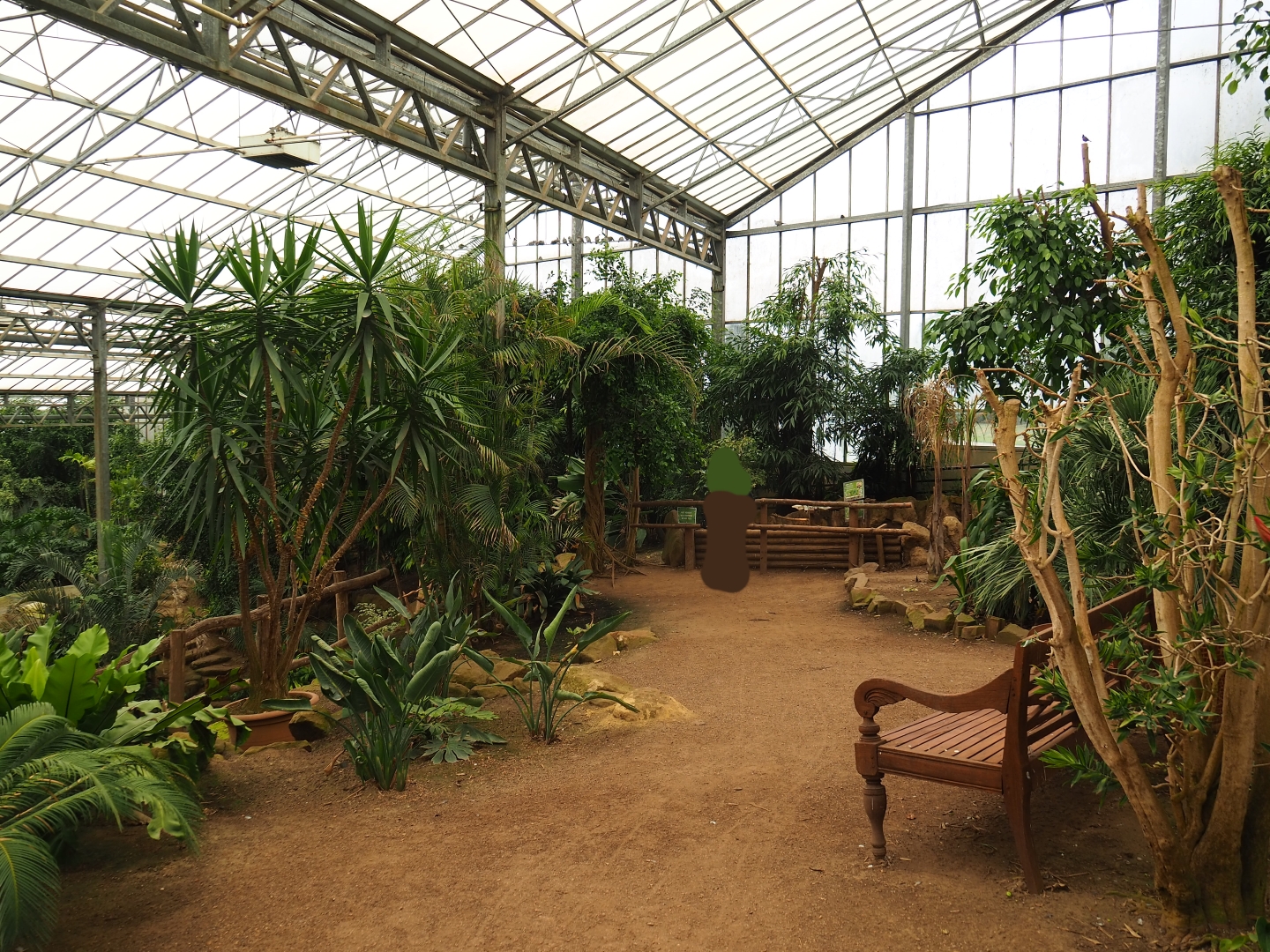 View in Tropical hall towards tortoise paddock (Aug 28th, 2018)