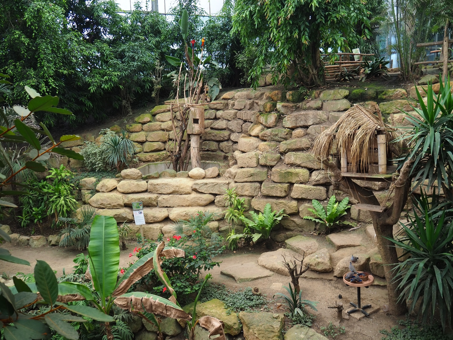 View in Tropical hall with macaw exhibit, bird feeding place and bird shack (Aug 28th, 2018)
