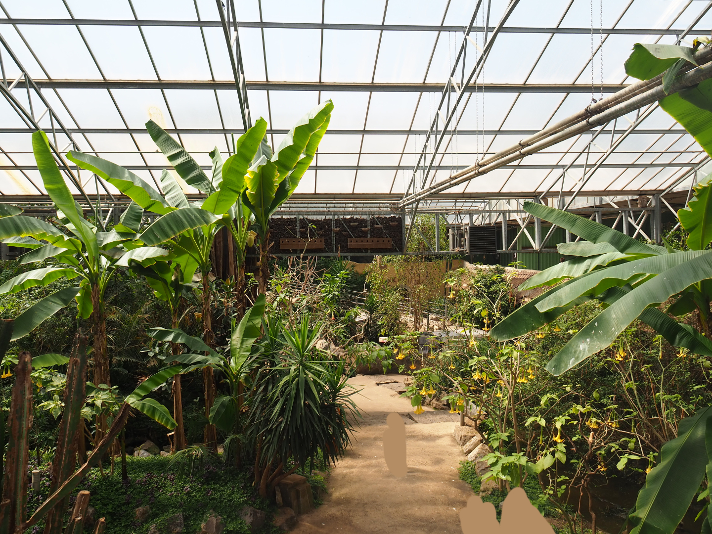 View in tropical house, 2019-08-04