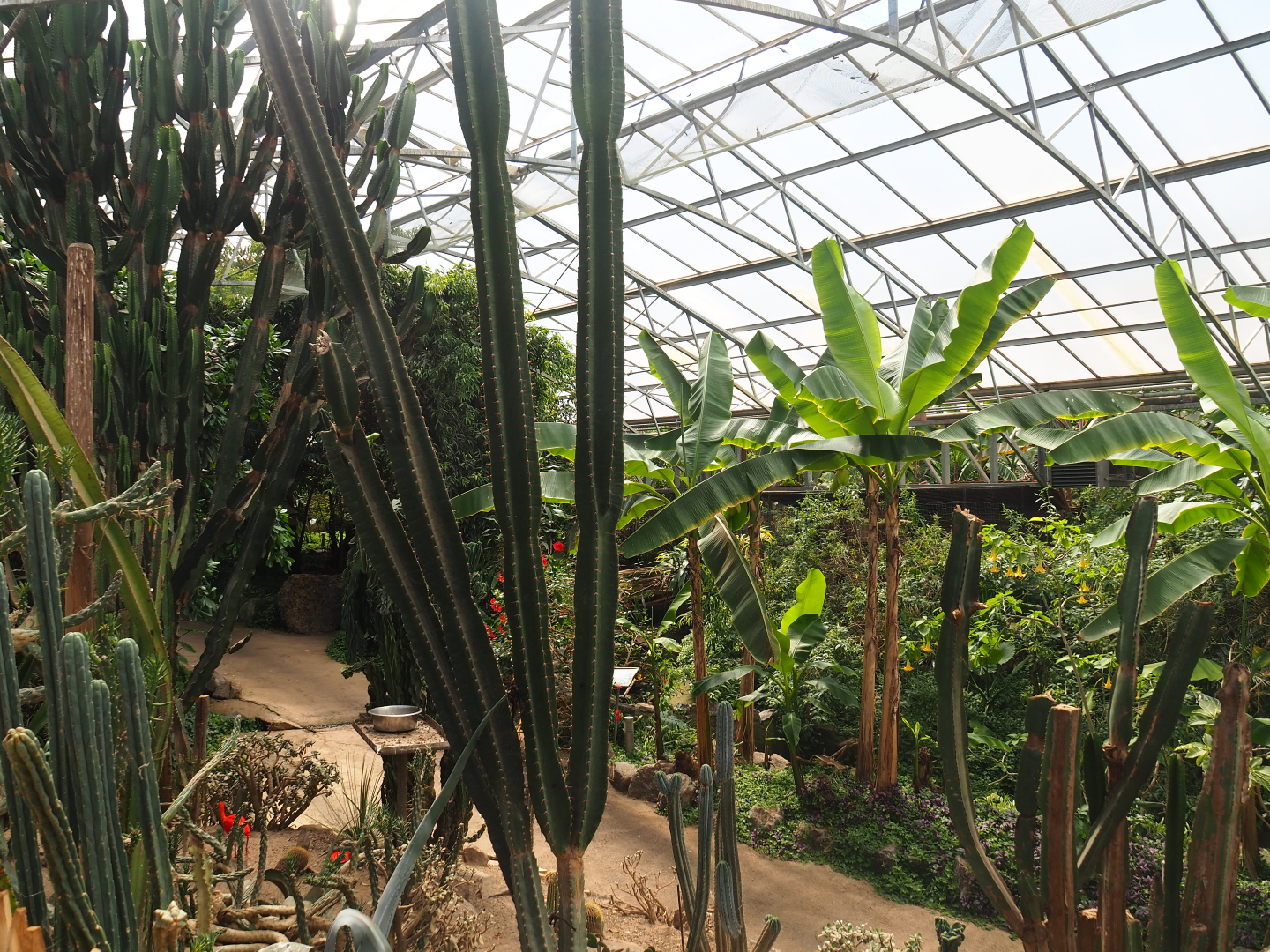 View in tropical house, 2019-08-04