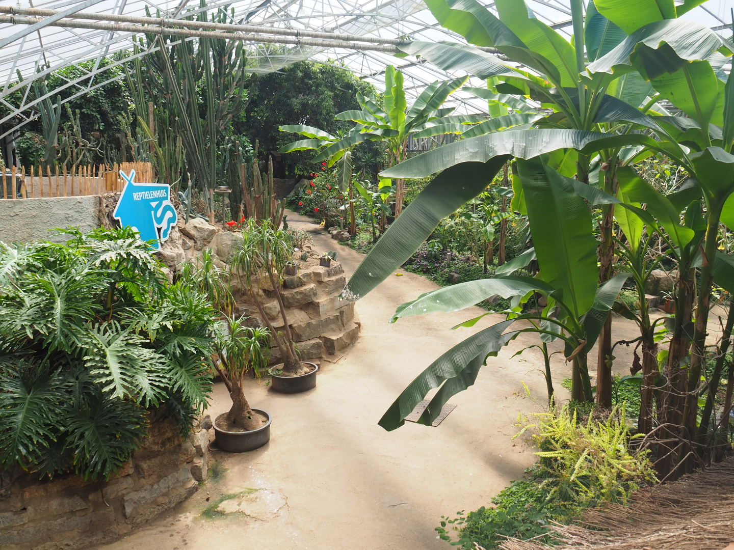 View in tropical house, 2019-08-04