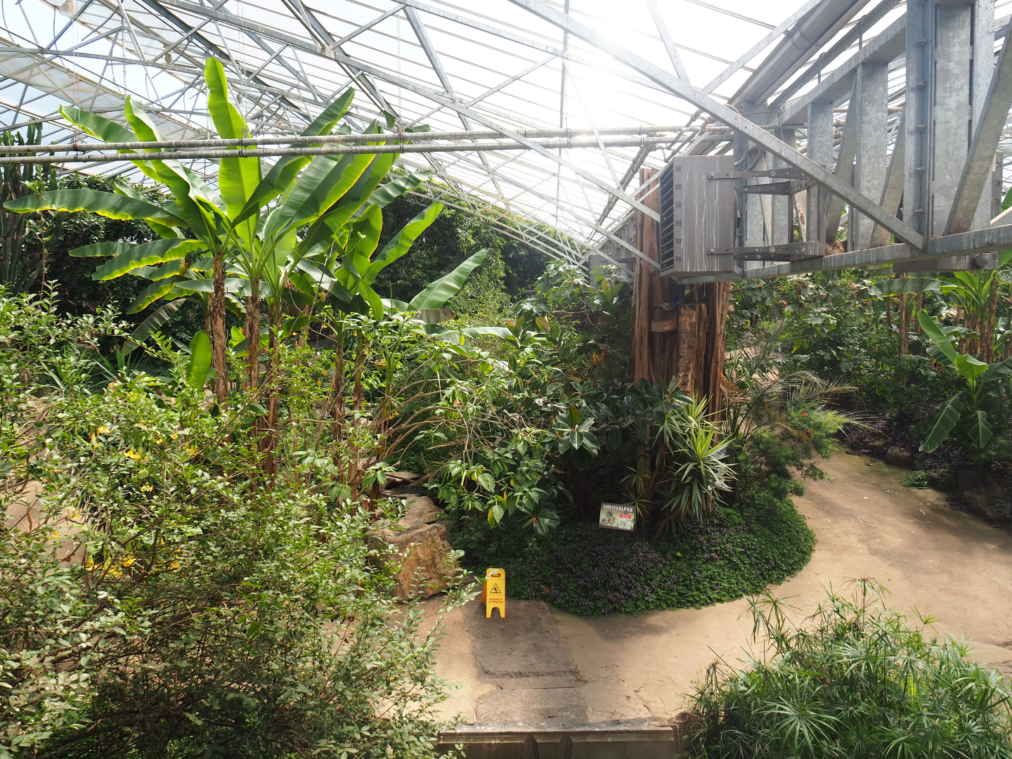 View in tropical house, 2019-08-04