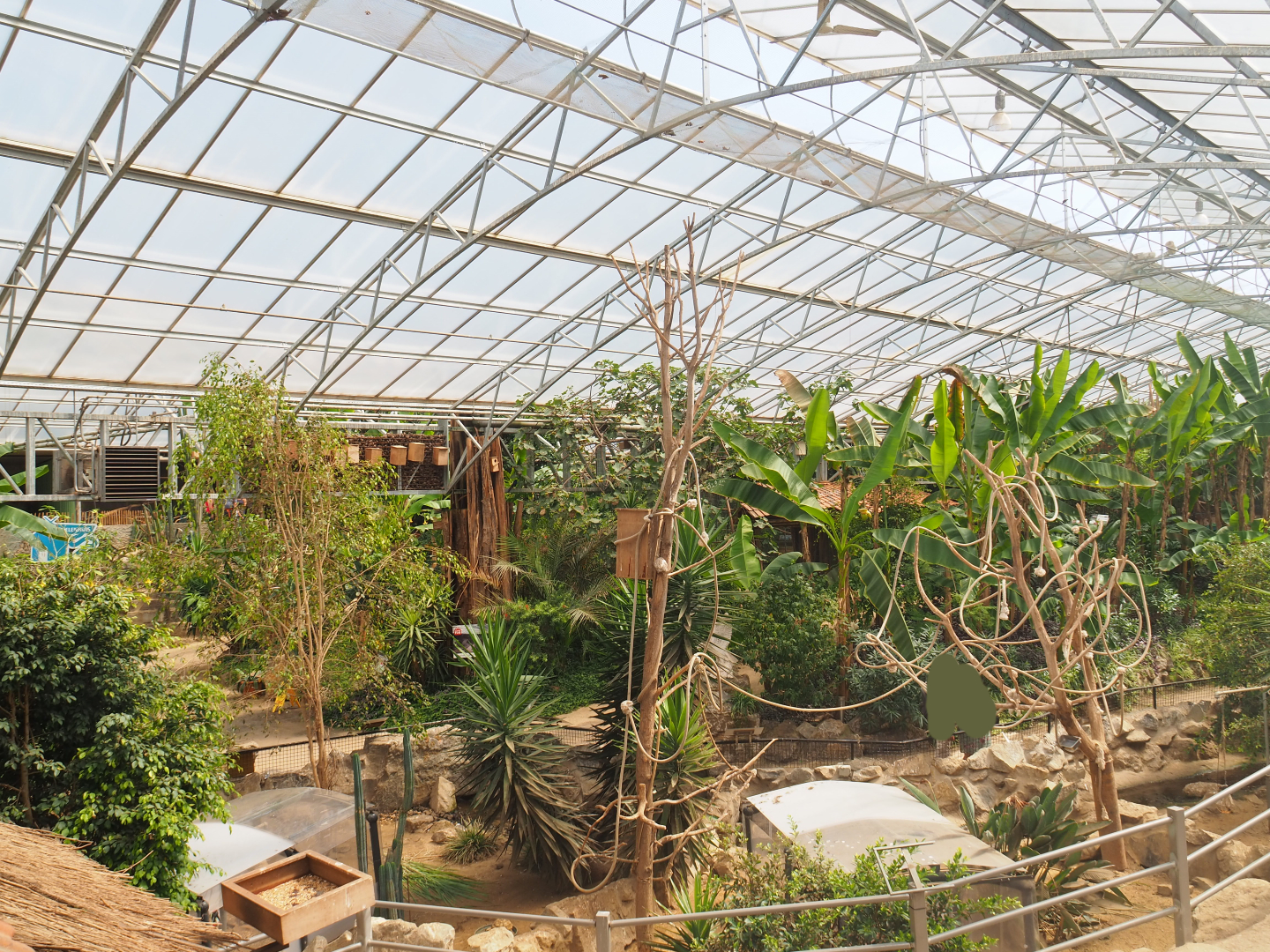 View in tropical house, 2019-08-04