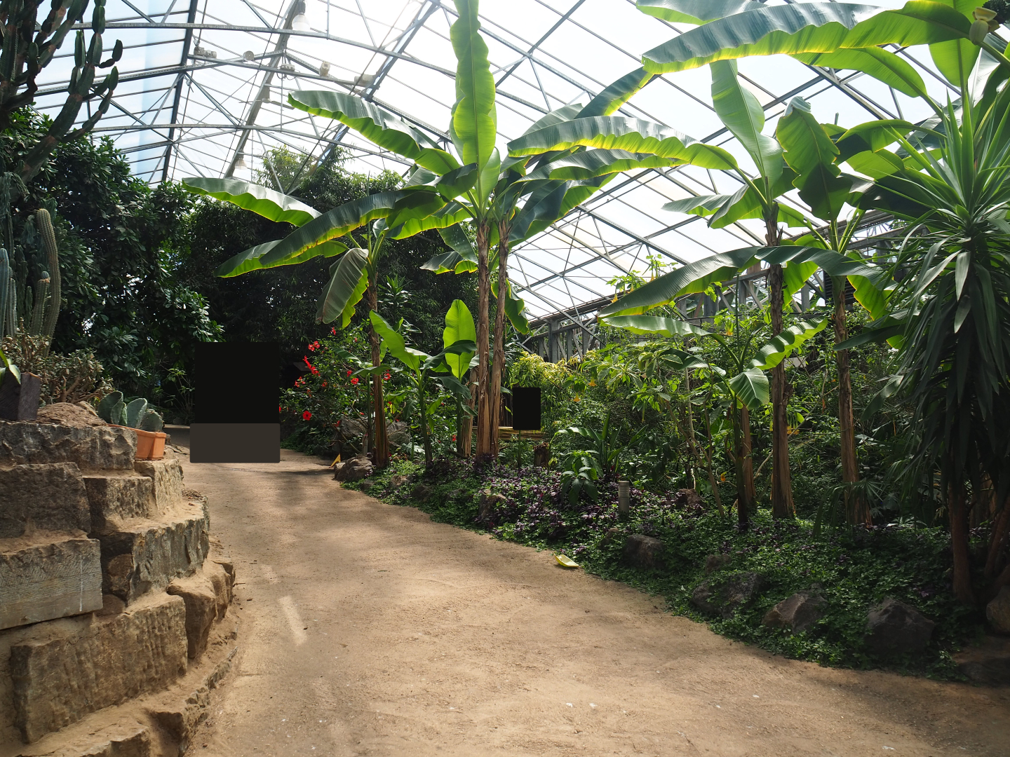 View in tropical house, 2019-08-04