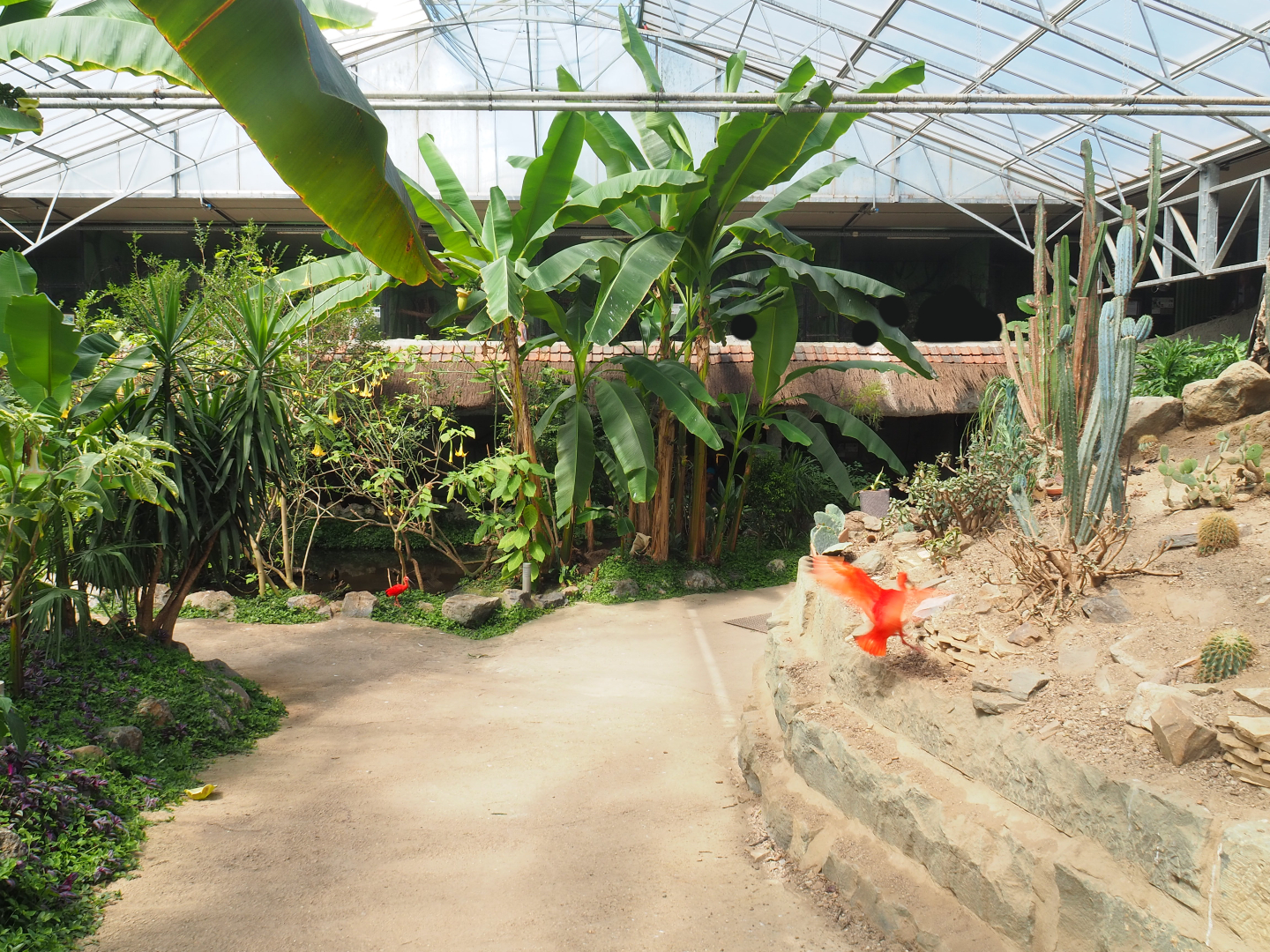 View in tropical house, 2019-08-04