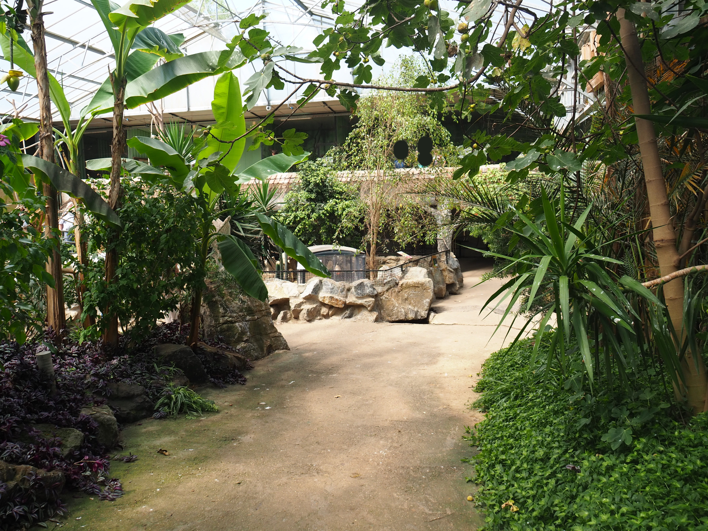 View in tropical house, 2019-08-04