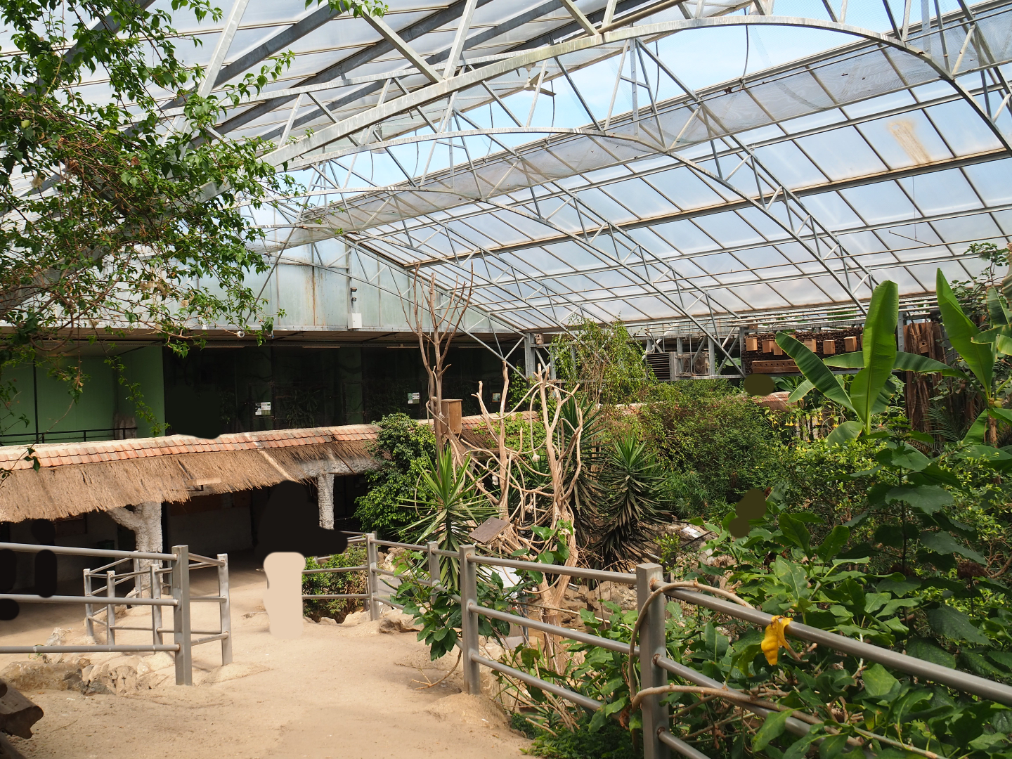 View in tropical house with pathway alongside the tortoise paddocks, 2019-08-04