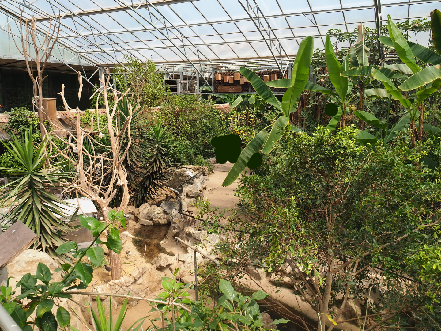View in tropical house with tortoise paddocks, 2019-08-04