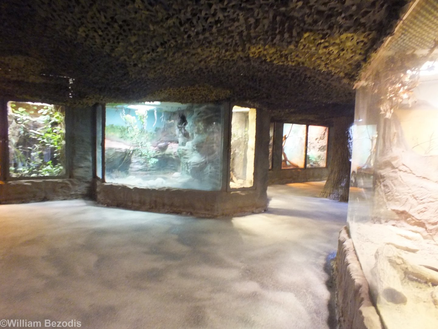 View in Tropical House