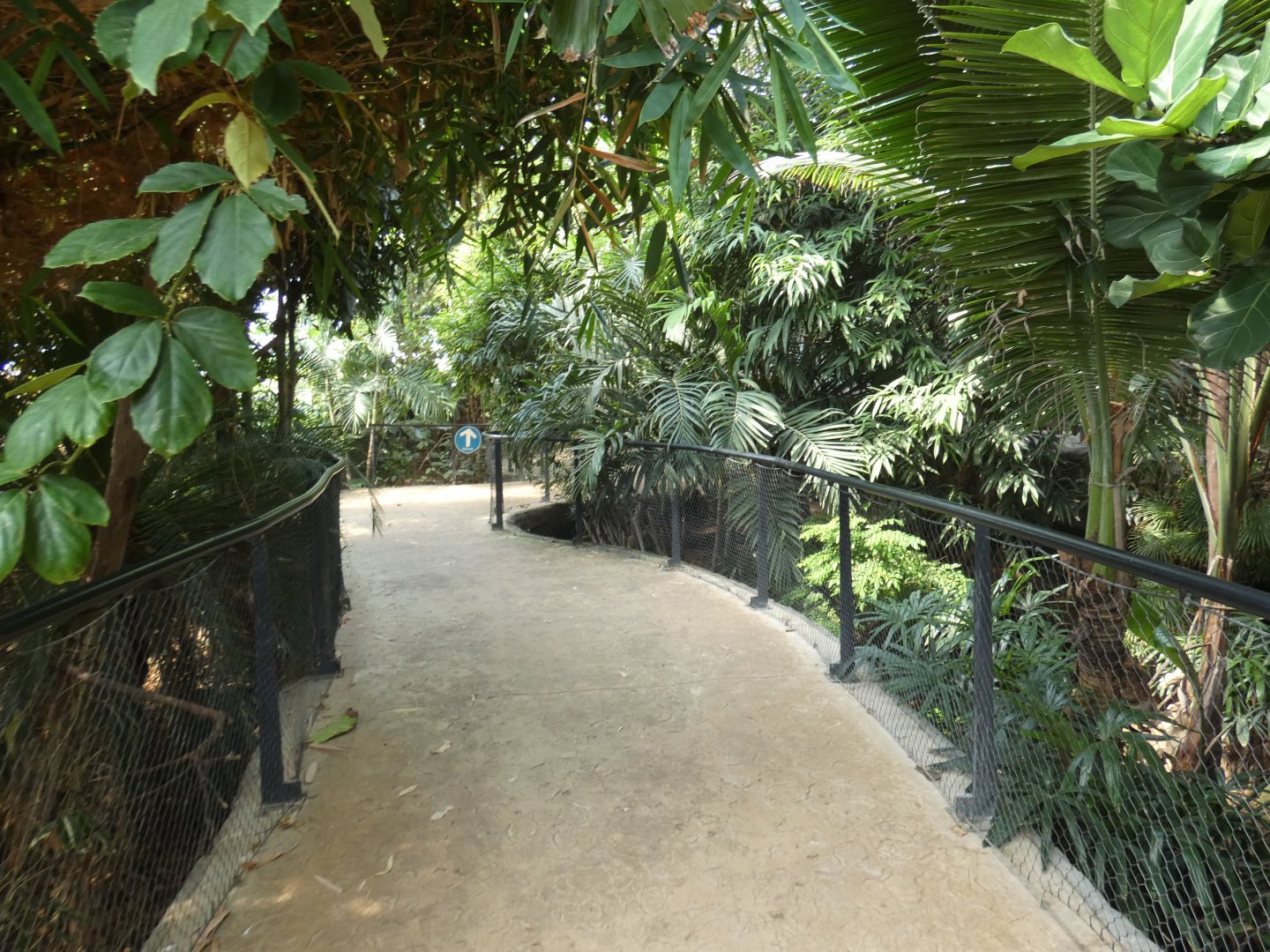 View in tropical house