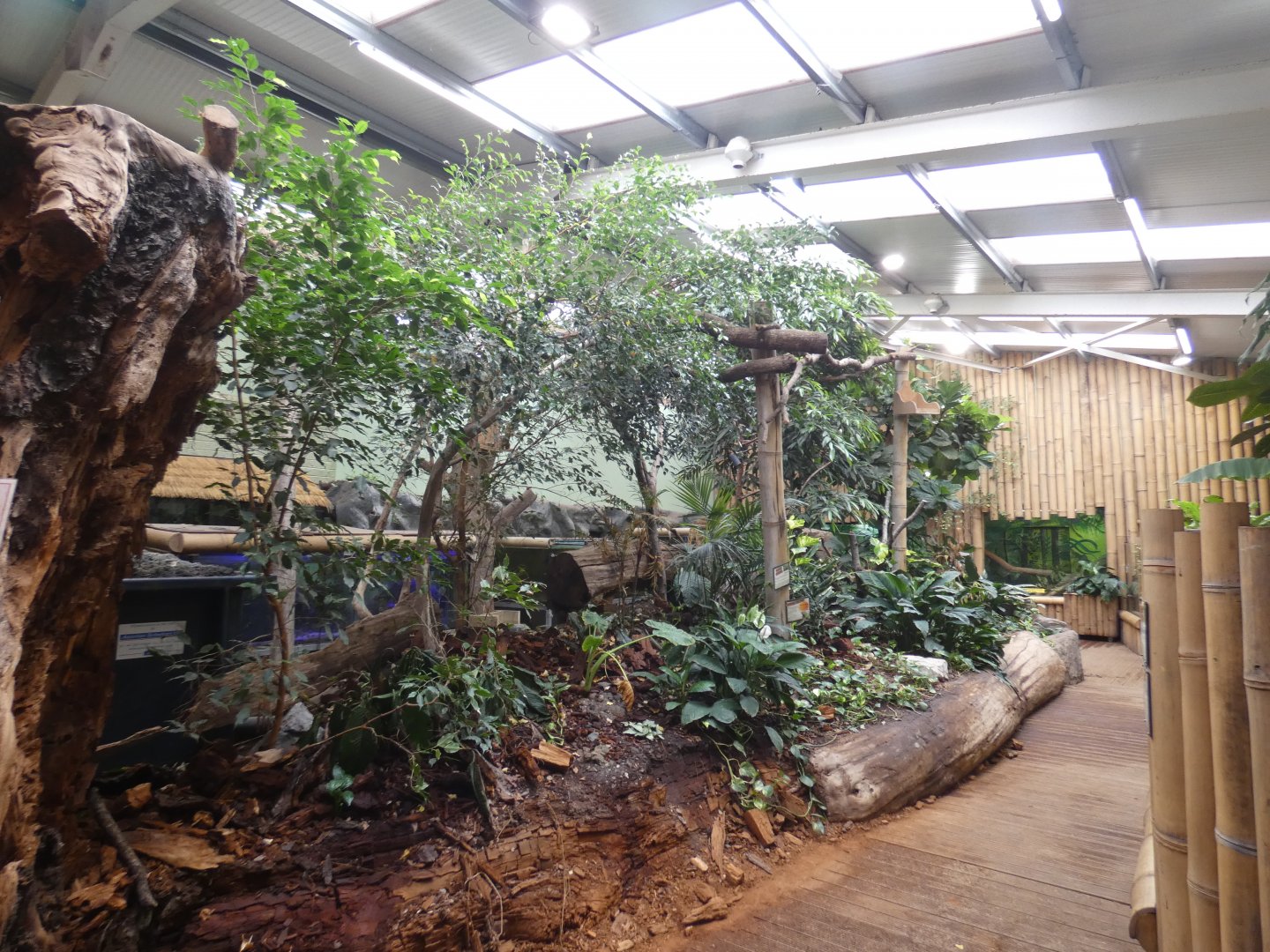 View in Tropical house