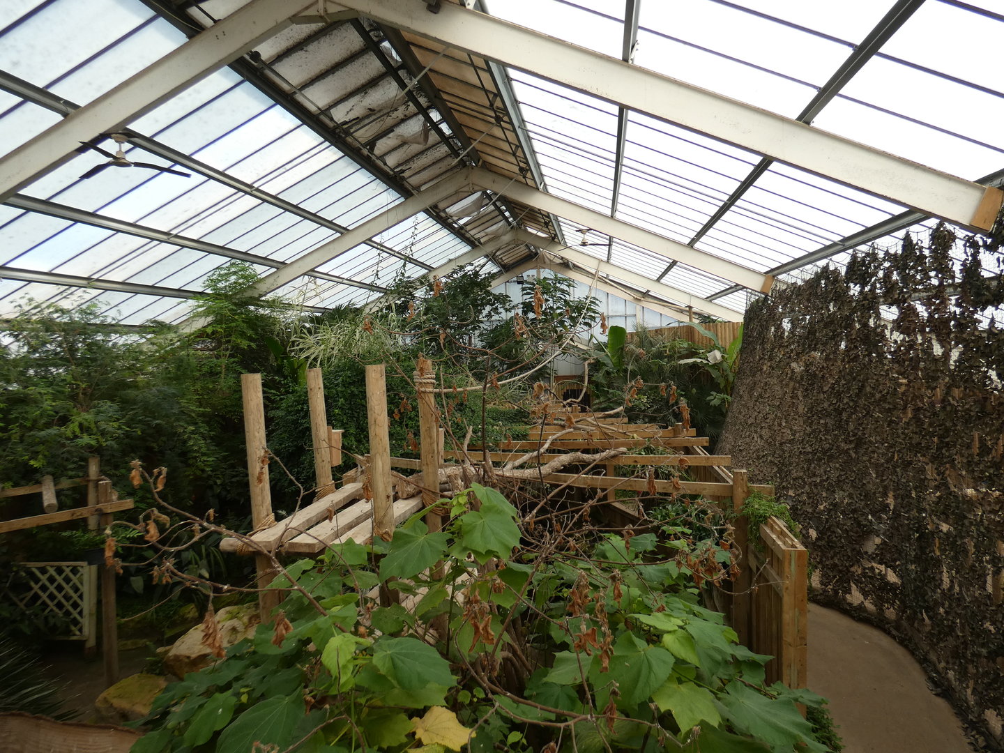 View in Tropical house