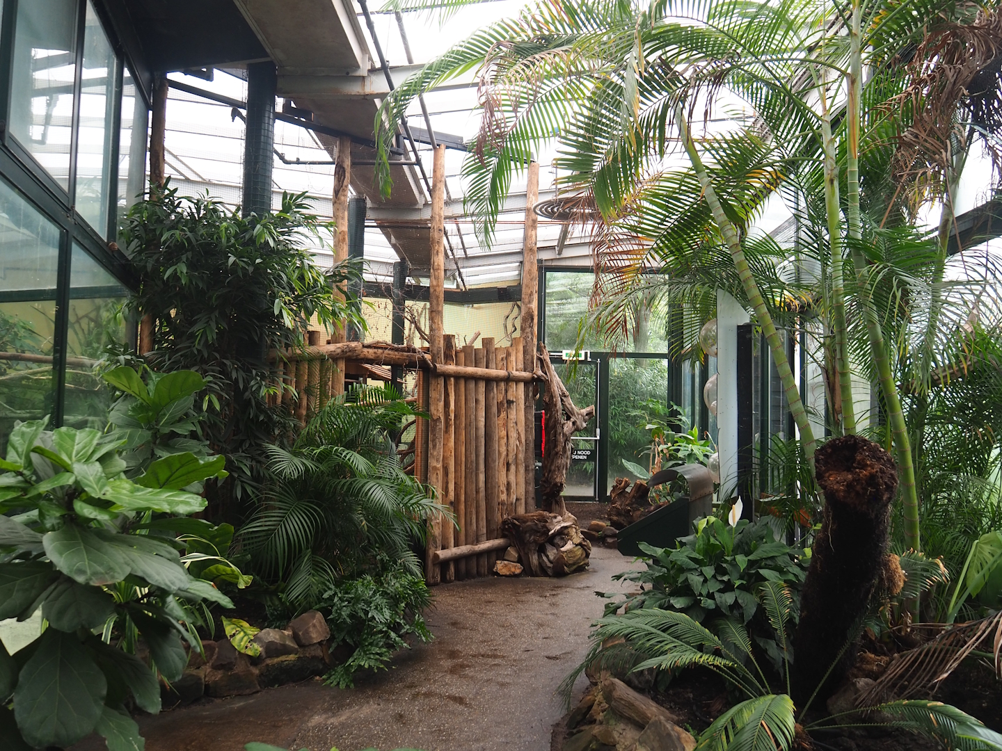 View in Urucu (American tropical house), 2023-08-17