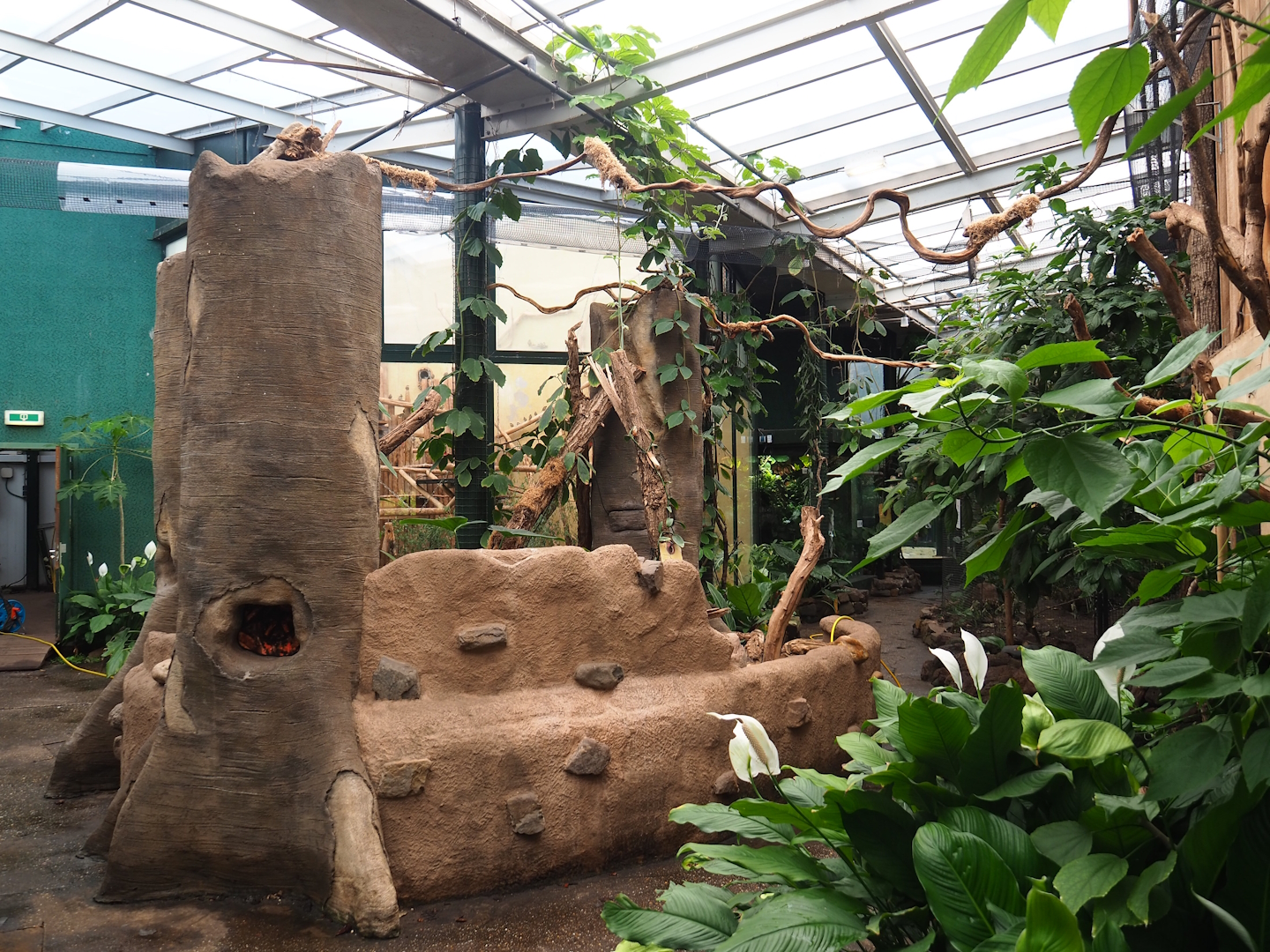 View in Urucu house (American tropical house), 2023-08-17