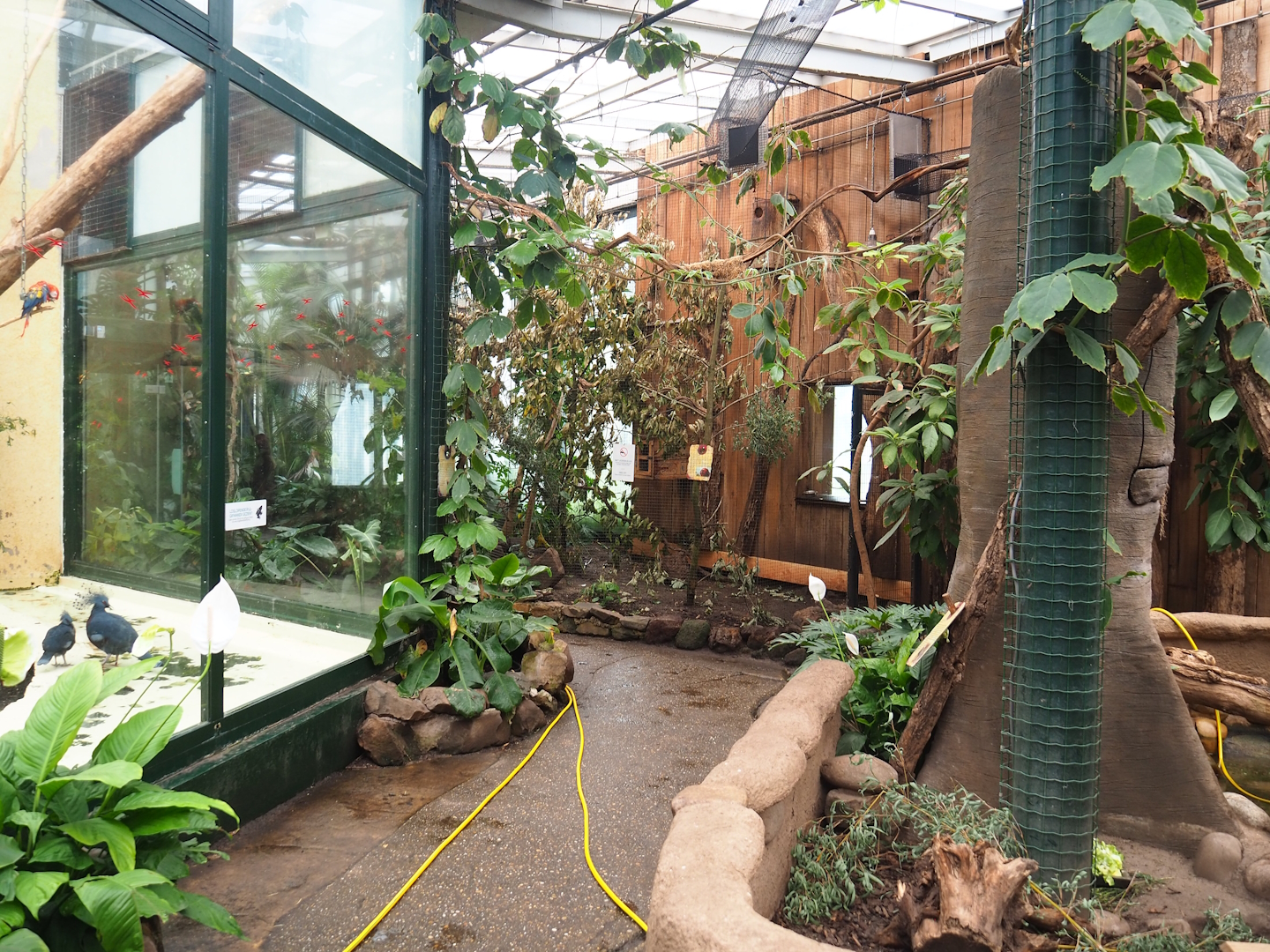 View in Urucu house (American tropical house), 2023-08-17