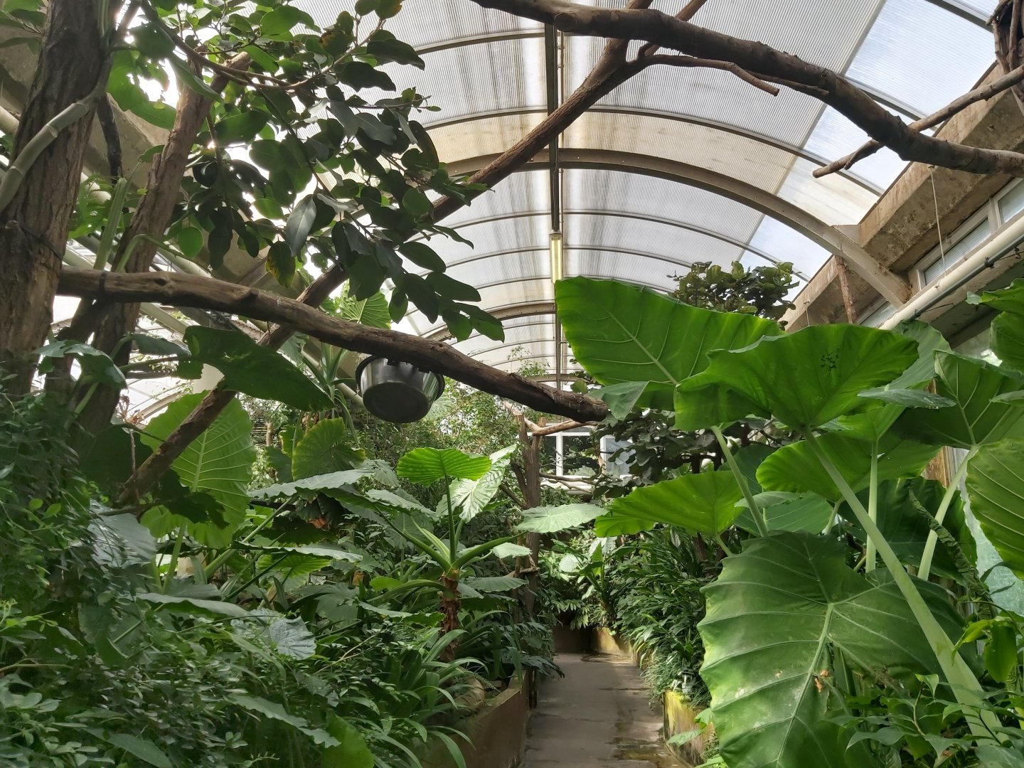 View in Victoria Hall