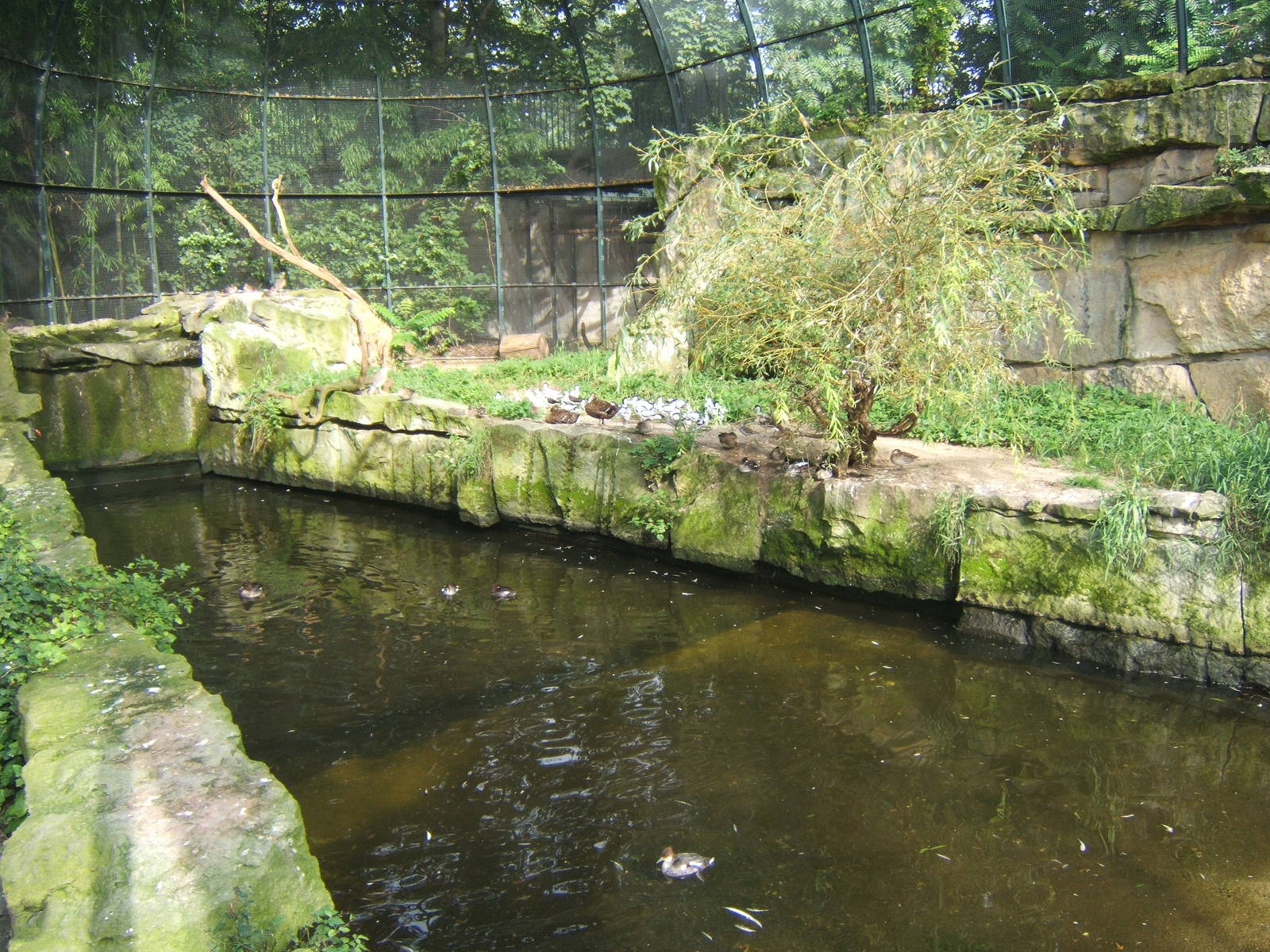 View in Wader Beach Aviary