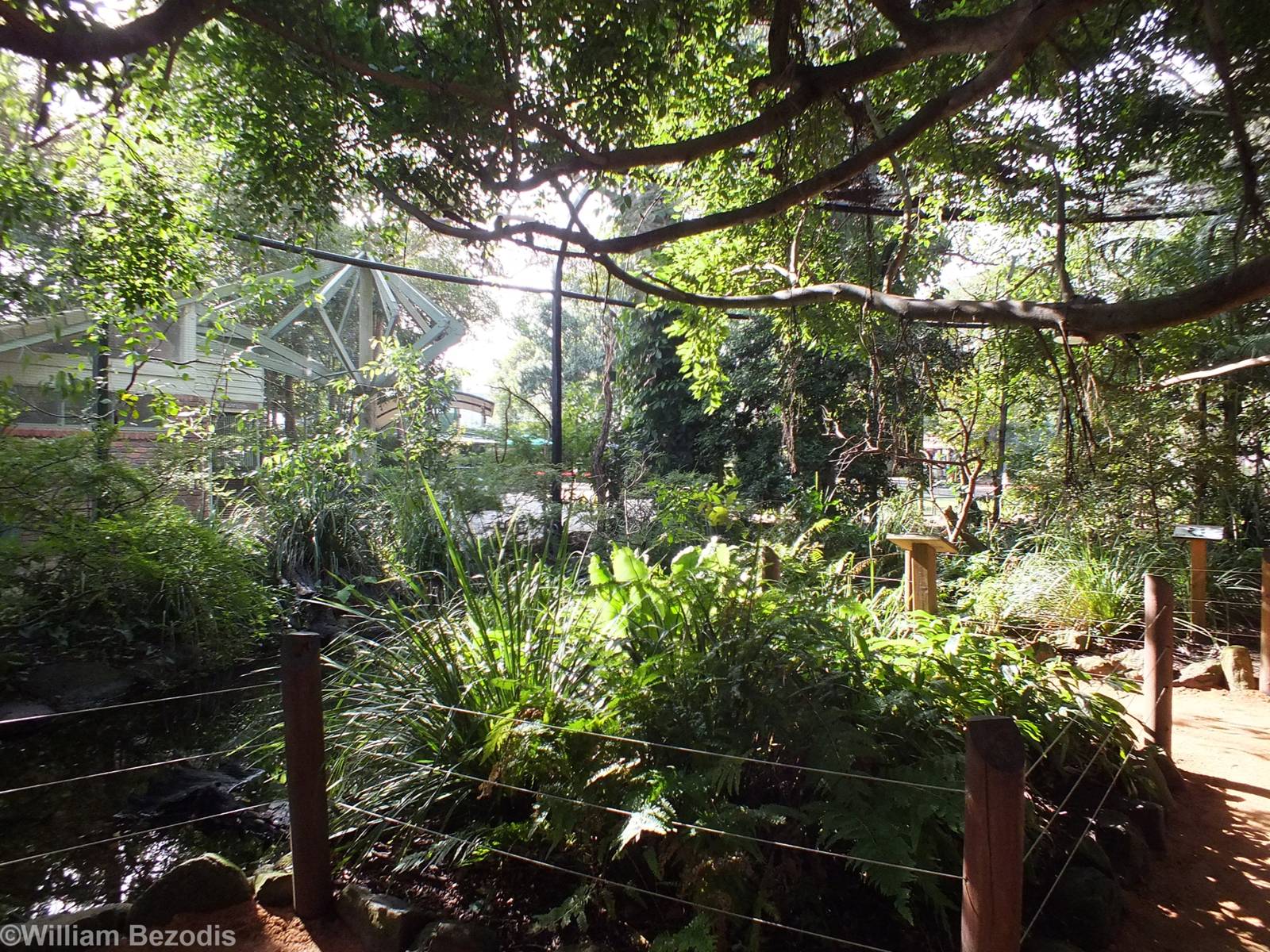 View in Walkthrough Aviary