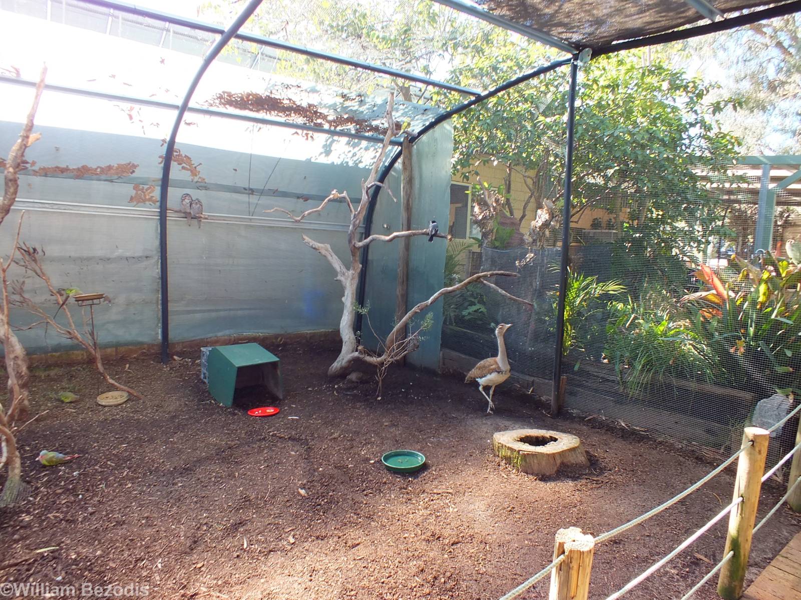 View in Walkthrough Aviary