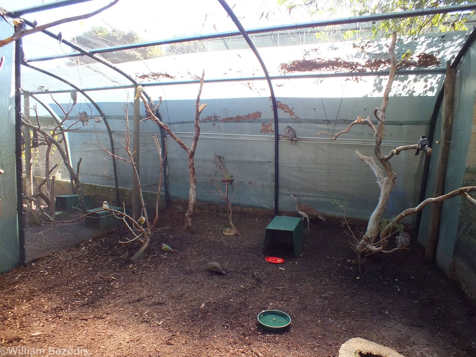 View in Walkthrough Aviary