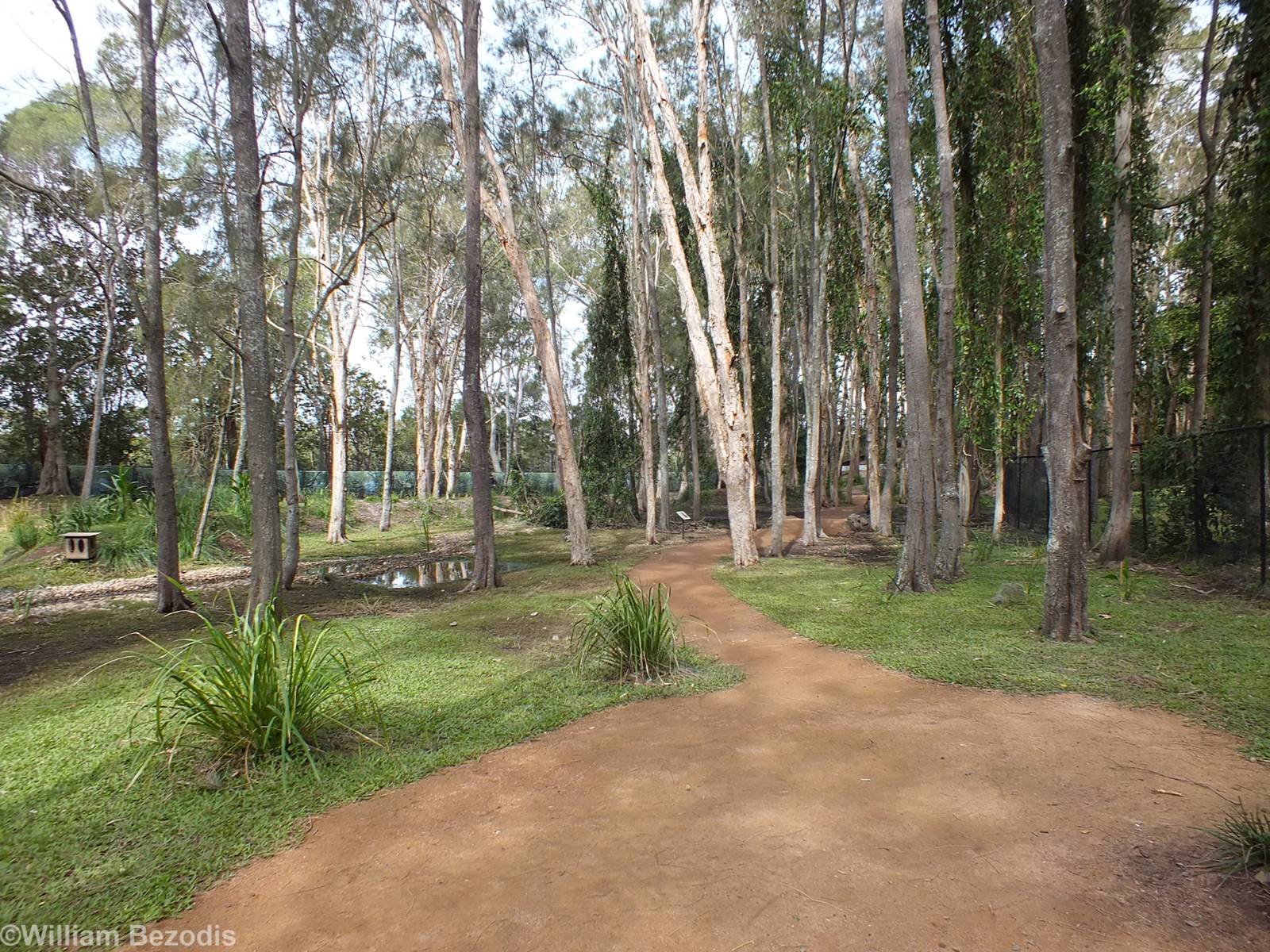 View in Walkthrough Enclosure