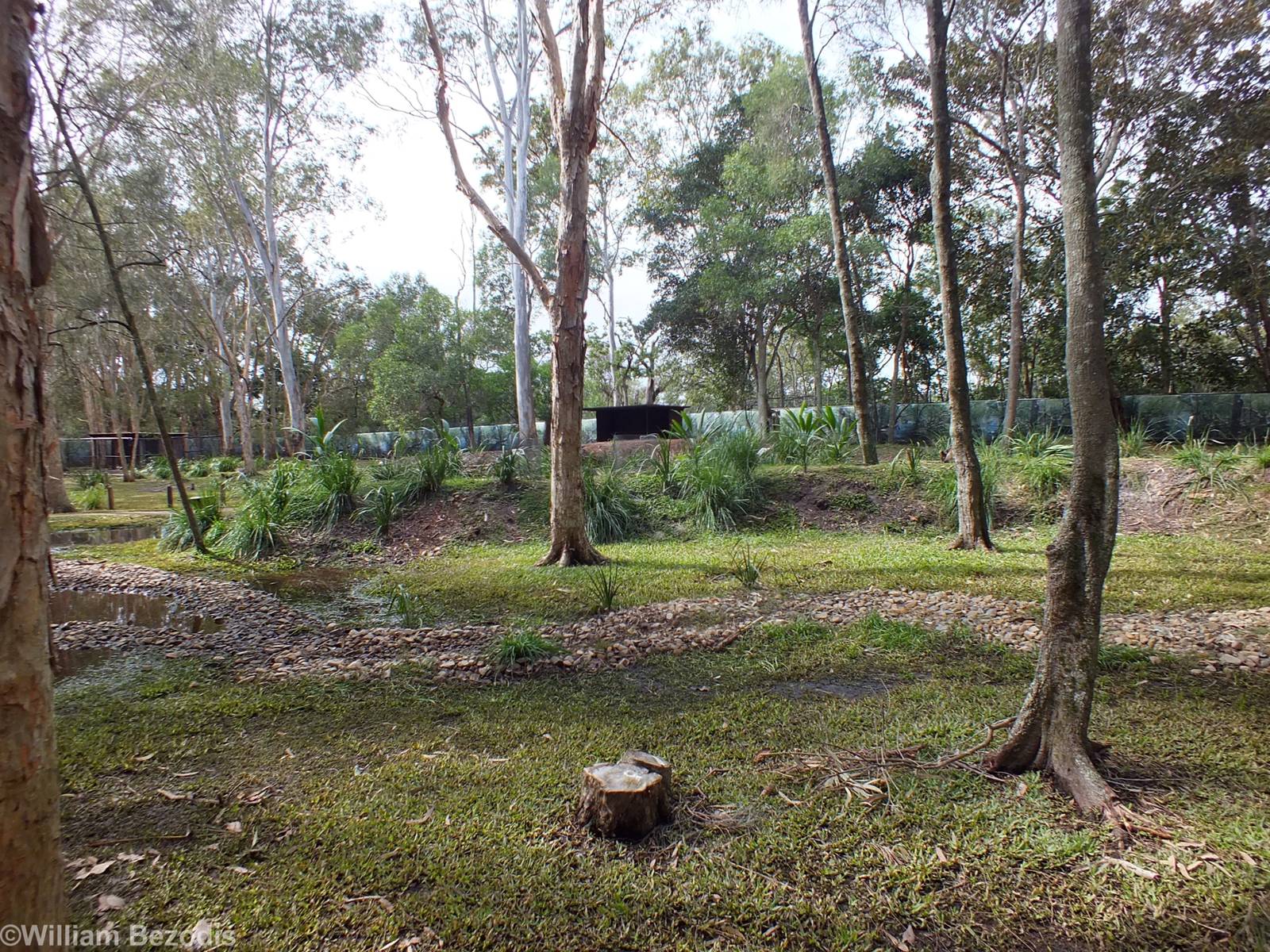 View in Walkthrough Enclosure