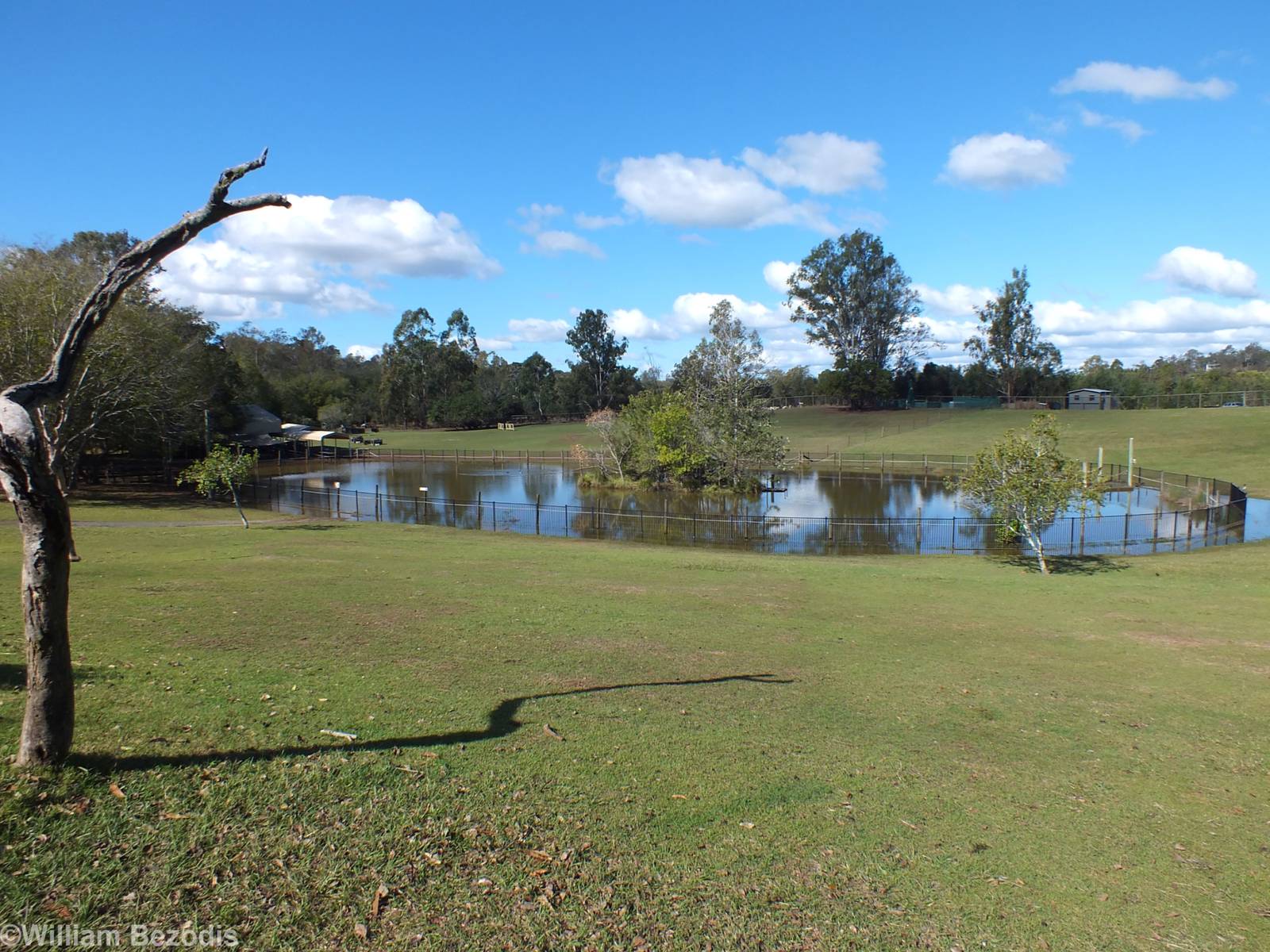 View in Walkthrough Kangaroo Enclosure