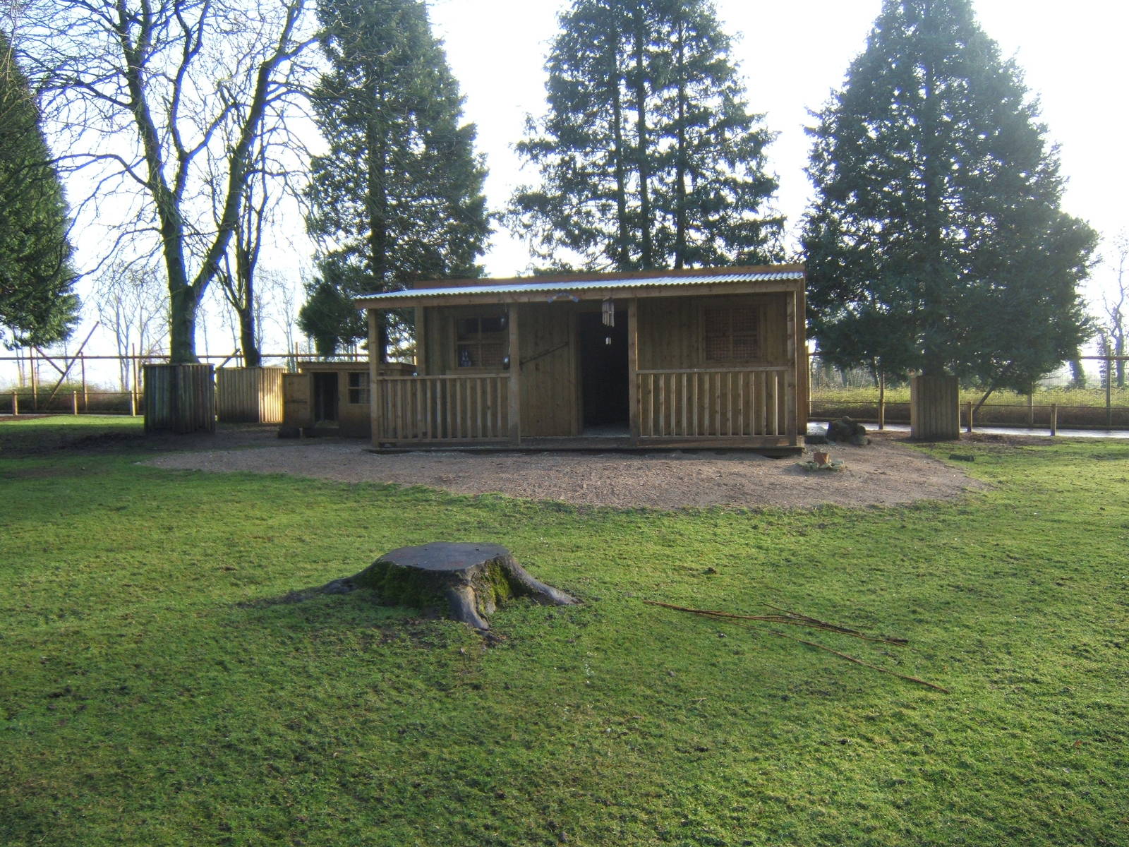 View in Wallaby Walkabout enclosure