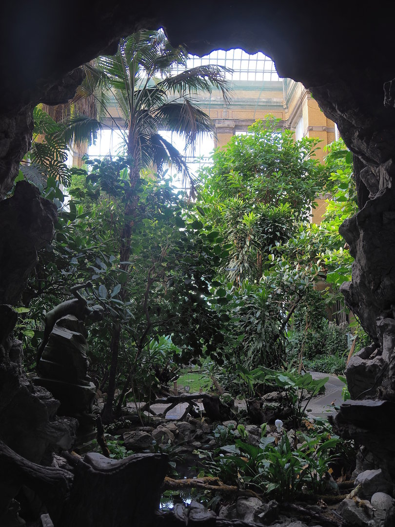 View in Winter Garden/Seasonal butterfly house, 2022-08-16