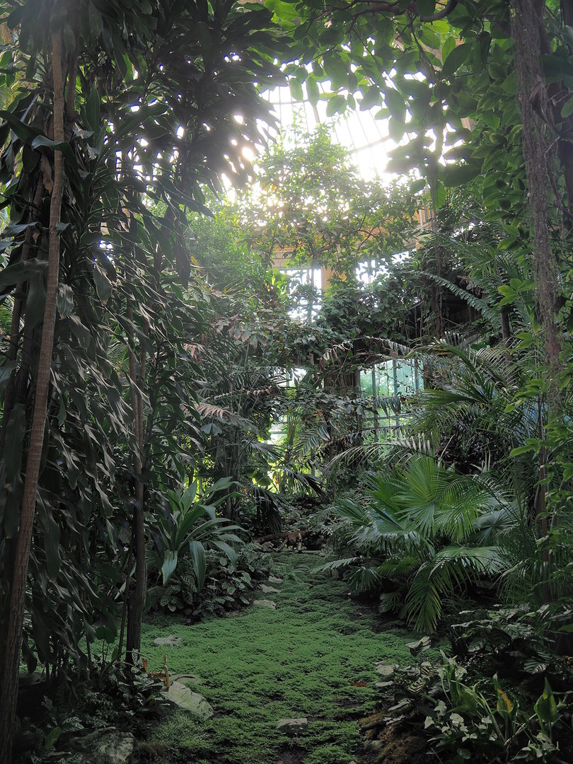 View in Winter Garden/Seasonal butterfly house, 2022-08-16