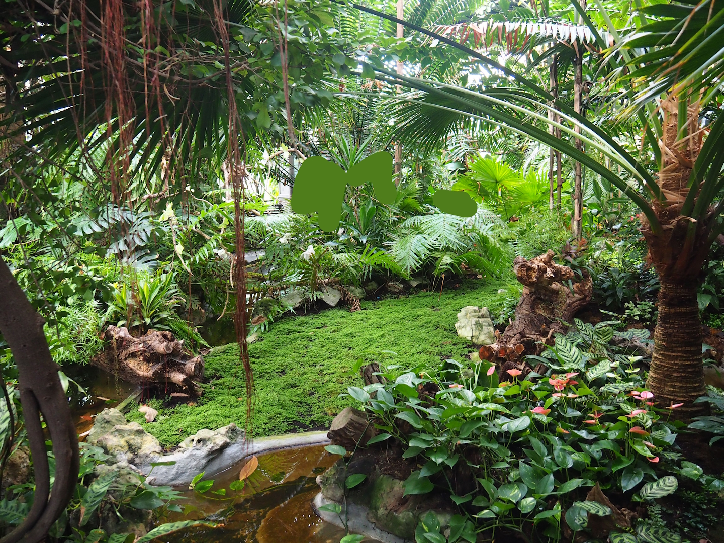 View in Winter garden/Seasonal butterfly house, 2023-07-22
