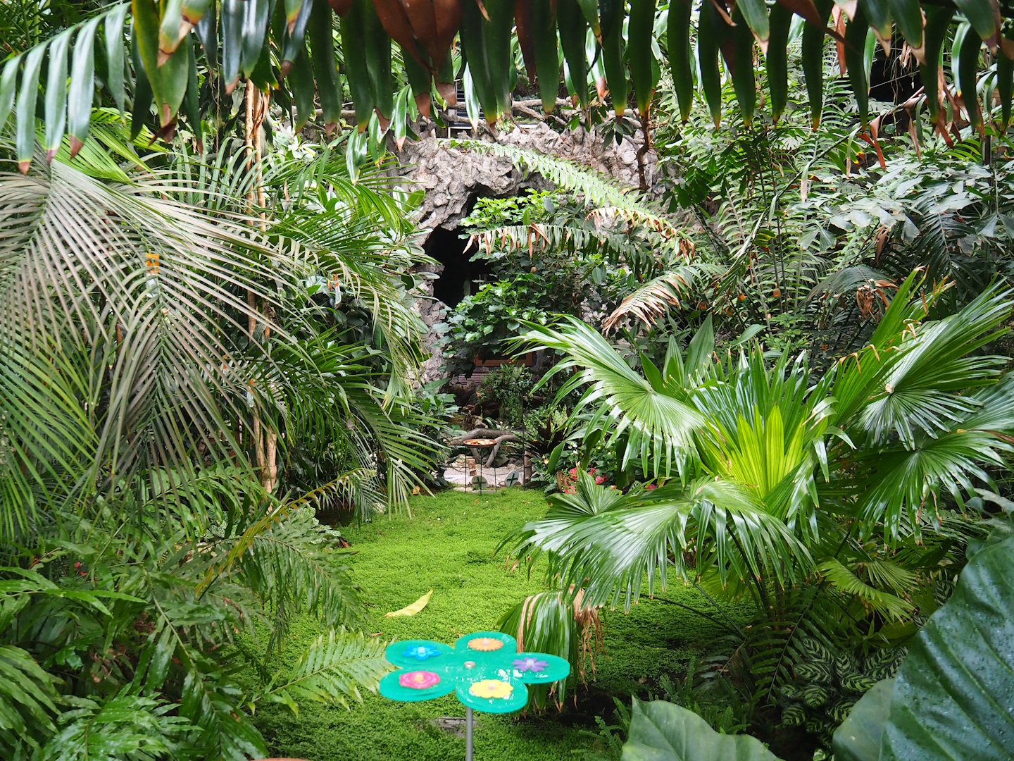 View in Winter garden/Seasonal butterfly house, 2023-07-22