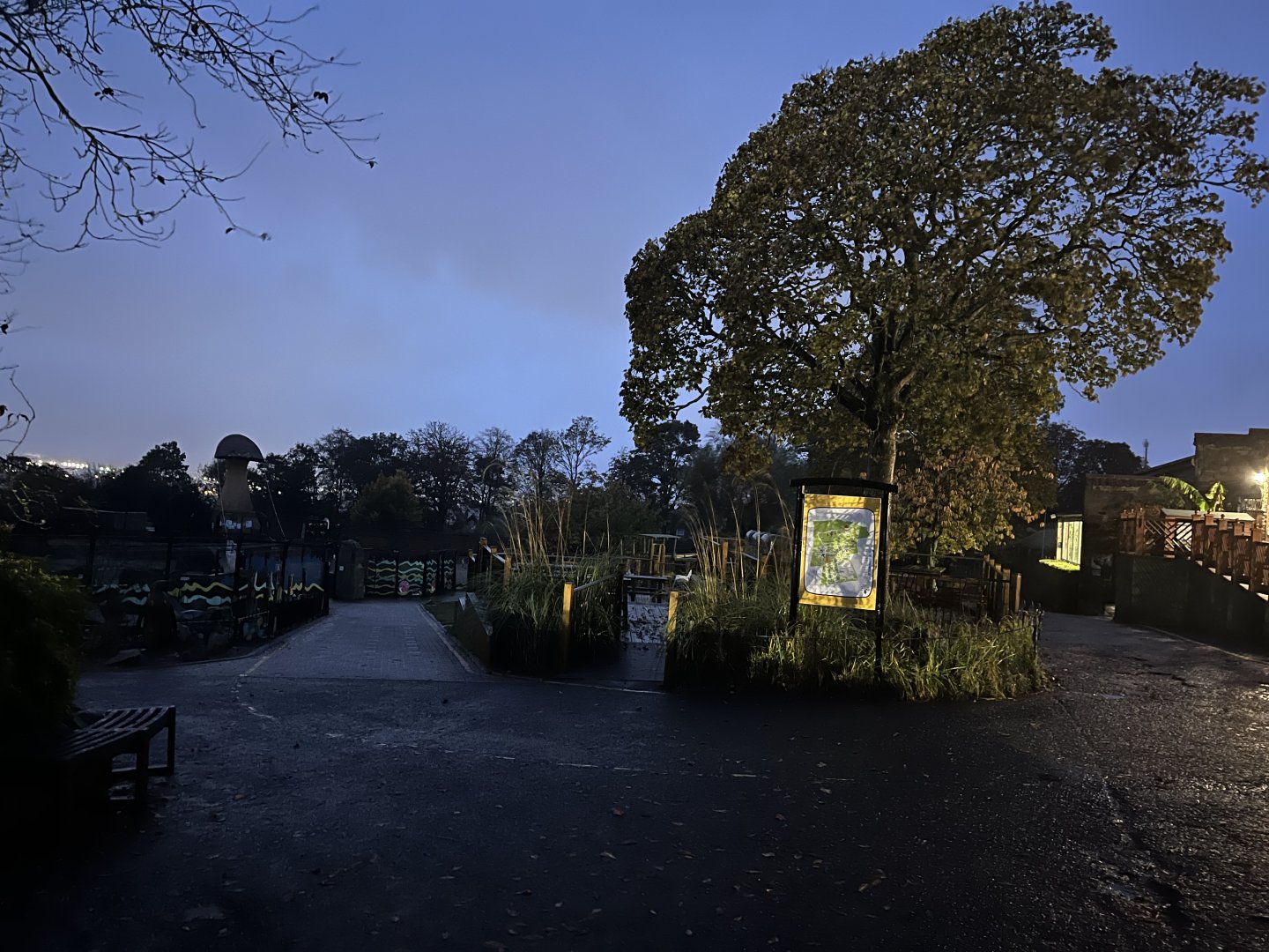 View in zoo in late afternoon 29.10.23