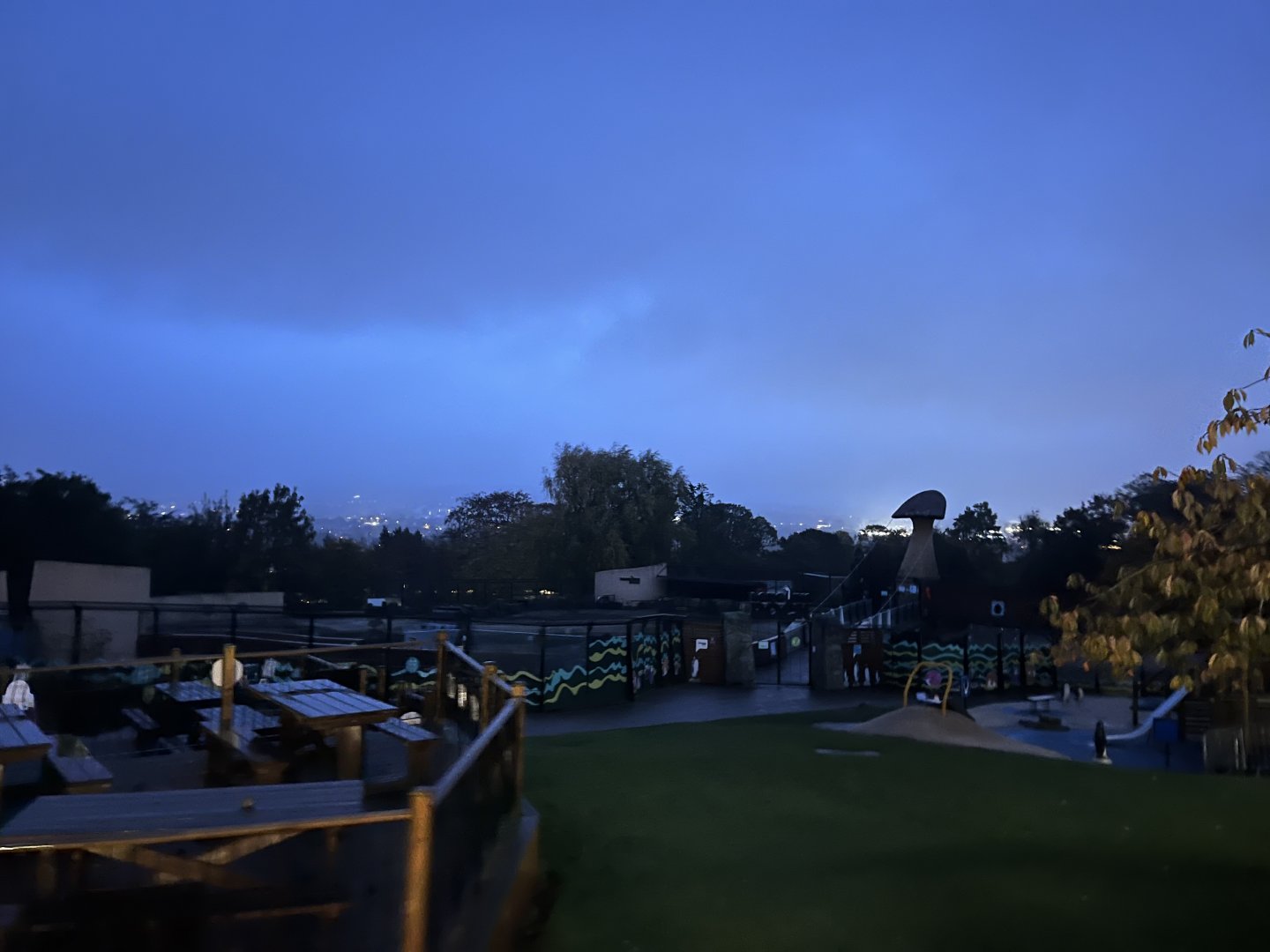 View in zoo in late afternoon 29.10.23