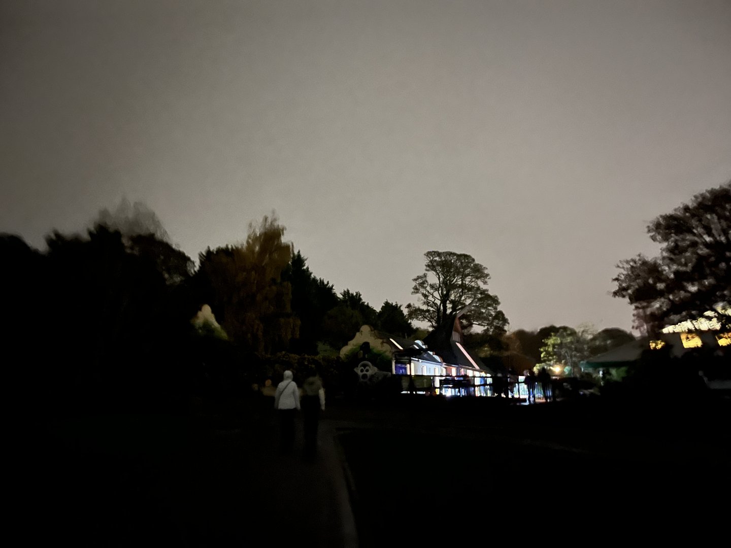 View in zoo in the evening 29.10.23