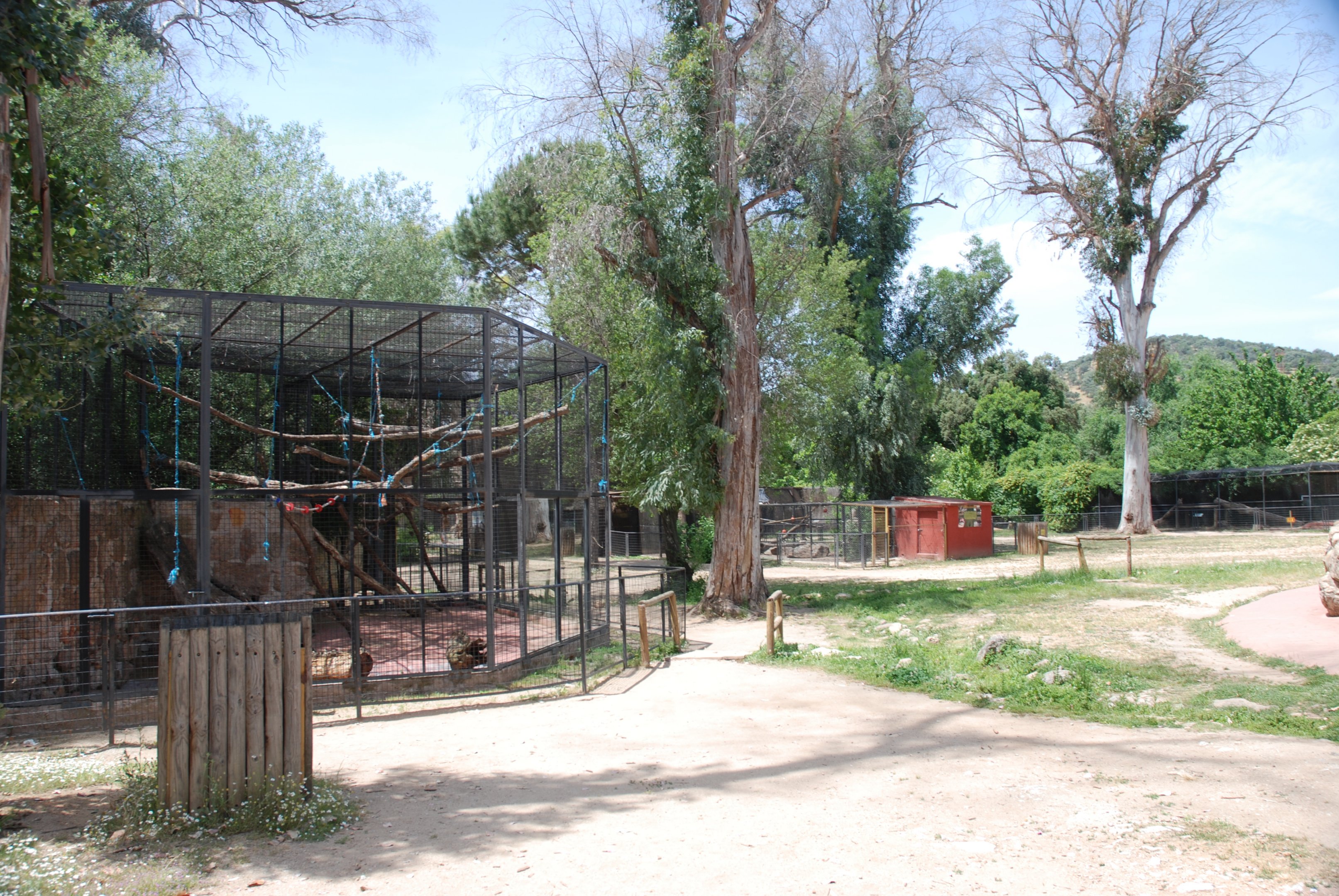View Including Grivet Enclosure at Safari Madrid, 19th May 2022
