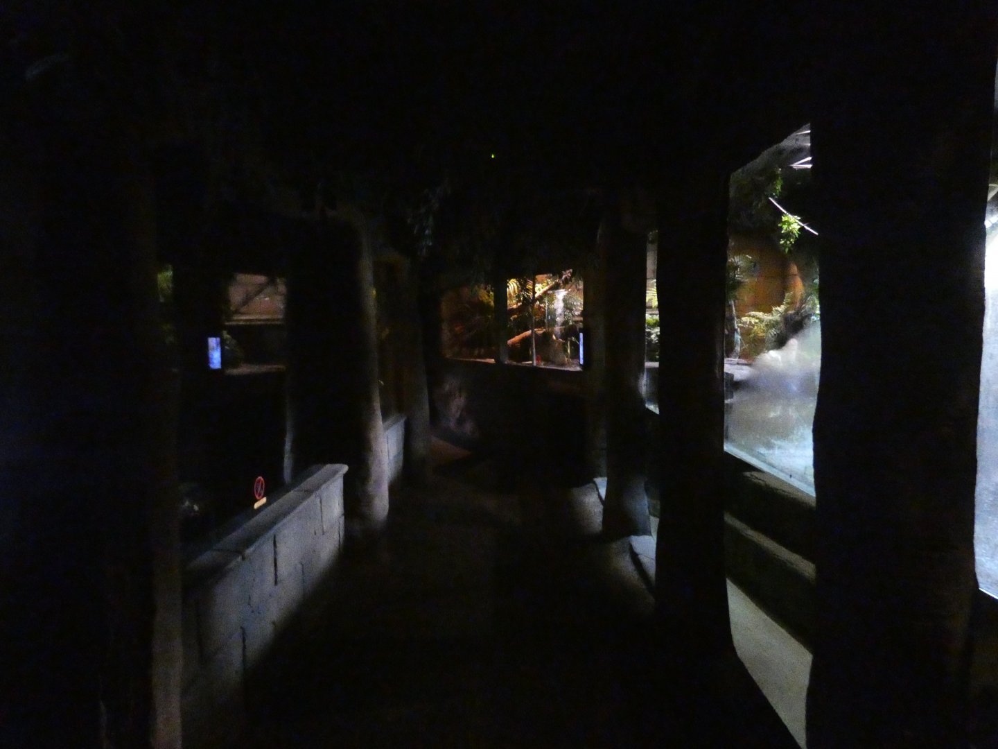 View inside 'Amazon and Beyond' anaconda house